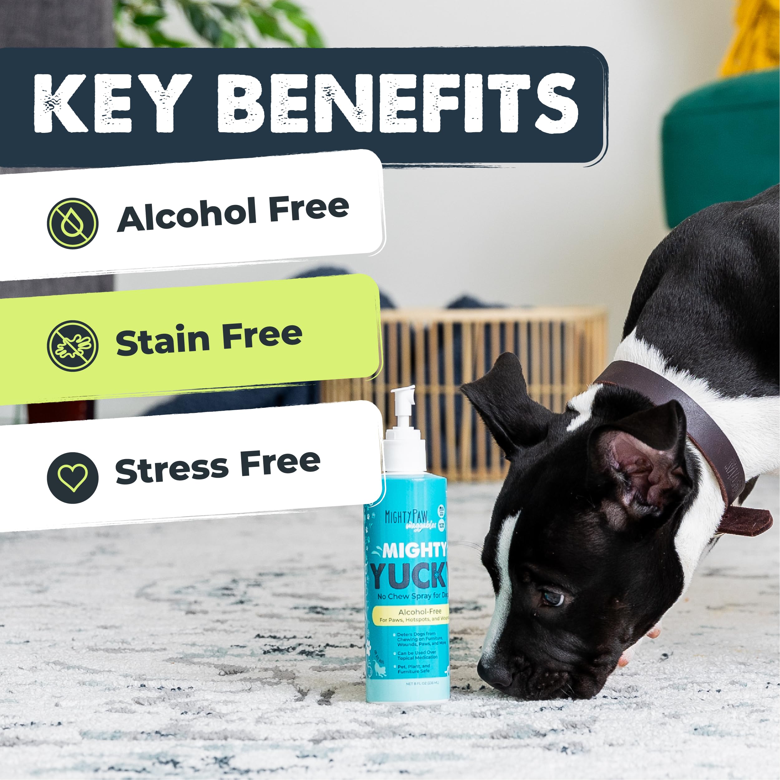 Mighty Paw Waggables Yucky No Chew Spray For Dog (Made In The Usa) | Bitter Apple Sprayer For Pets To Stop Chewing. Dog Repellen