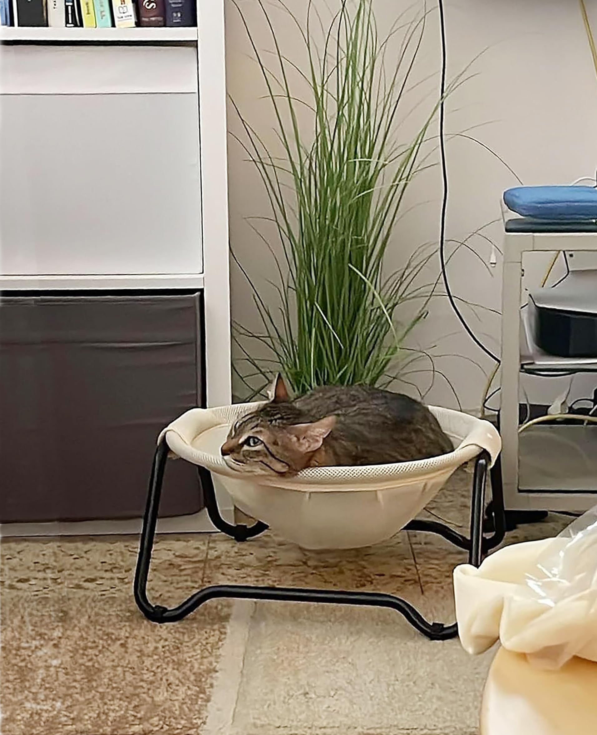 Roodo Cat Hammock Bed Free-Standing Removable Washable Mesh Roundness Couch Excellent Breathability And Easy Assembly Comfortabl