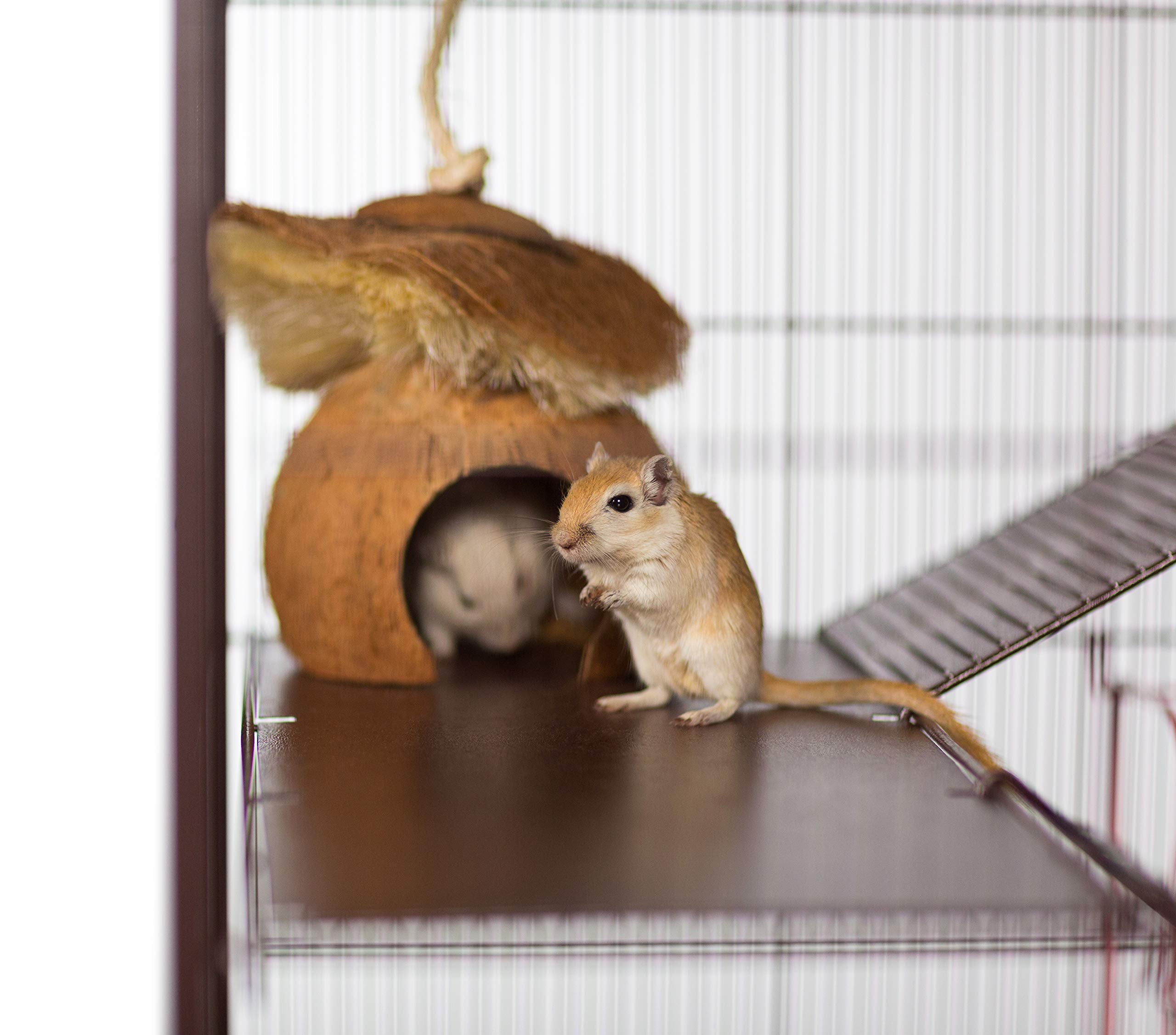 Prevue Pet Products Naturals Critter Hut Small Animal Toy 62812