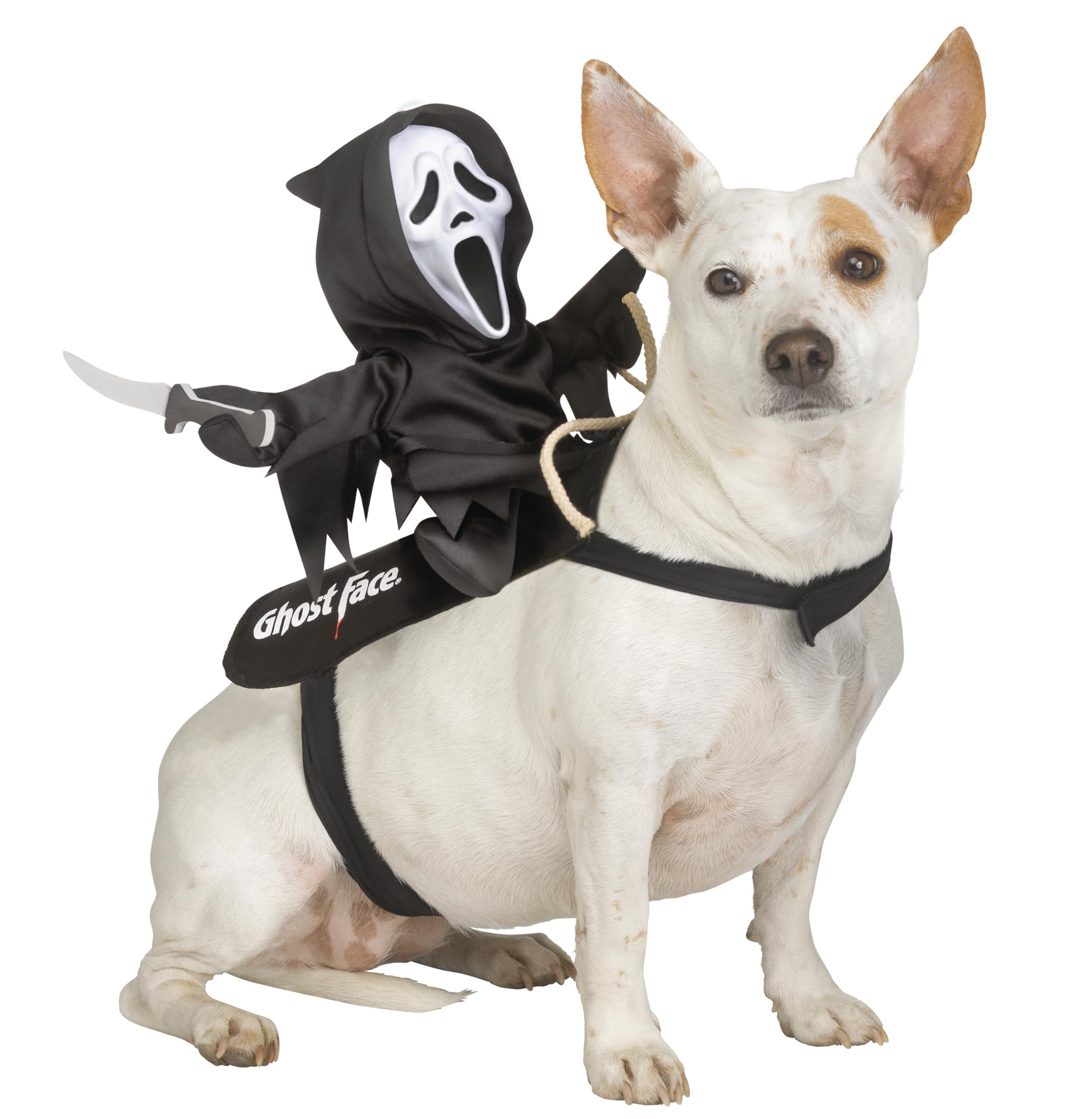 Ghost Face Rider Vest Pet Costume | L/Xl