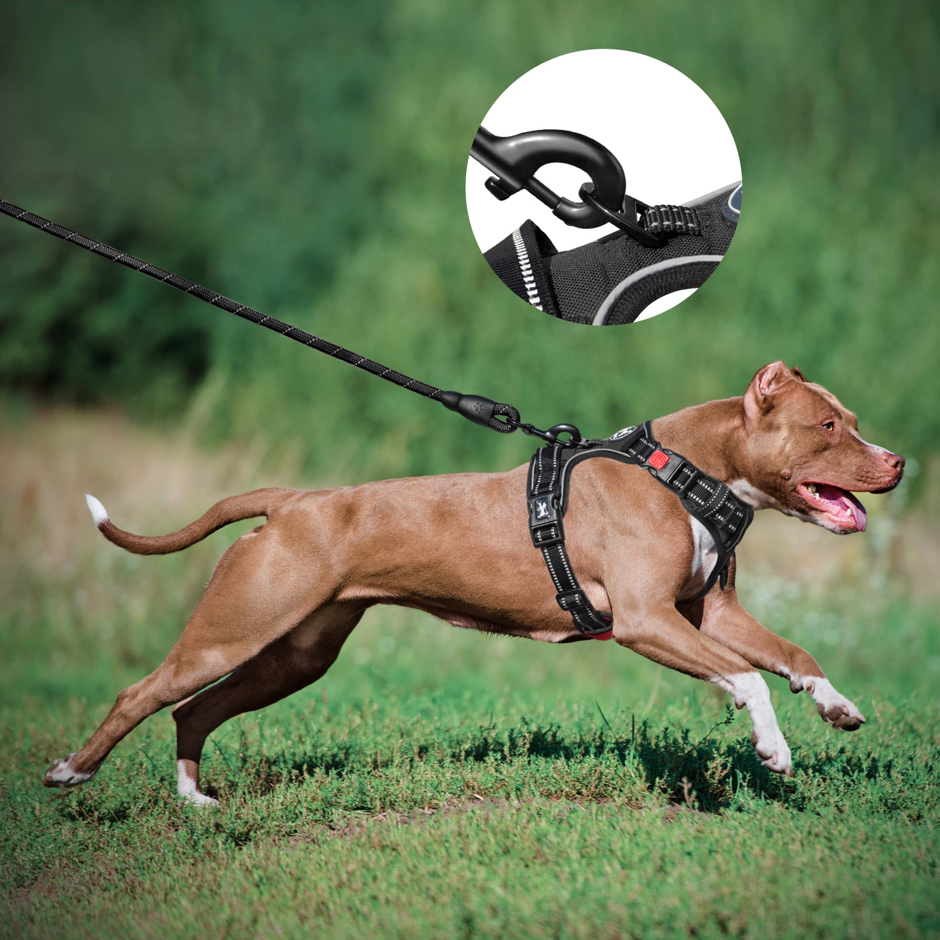 Poypet Dog Harness And Leash Combo, Escape Proof No Pull Vest Harness, With 5 Feet Leash, Reflective Adjustable Soft Padded Pet