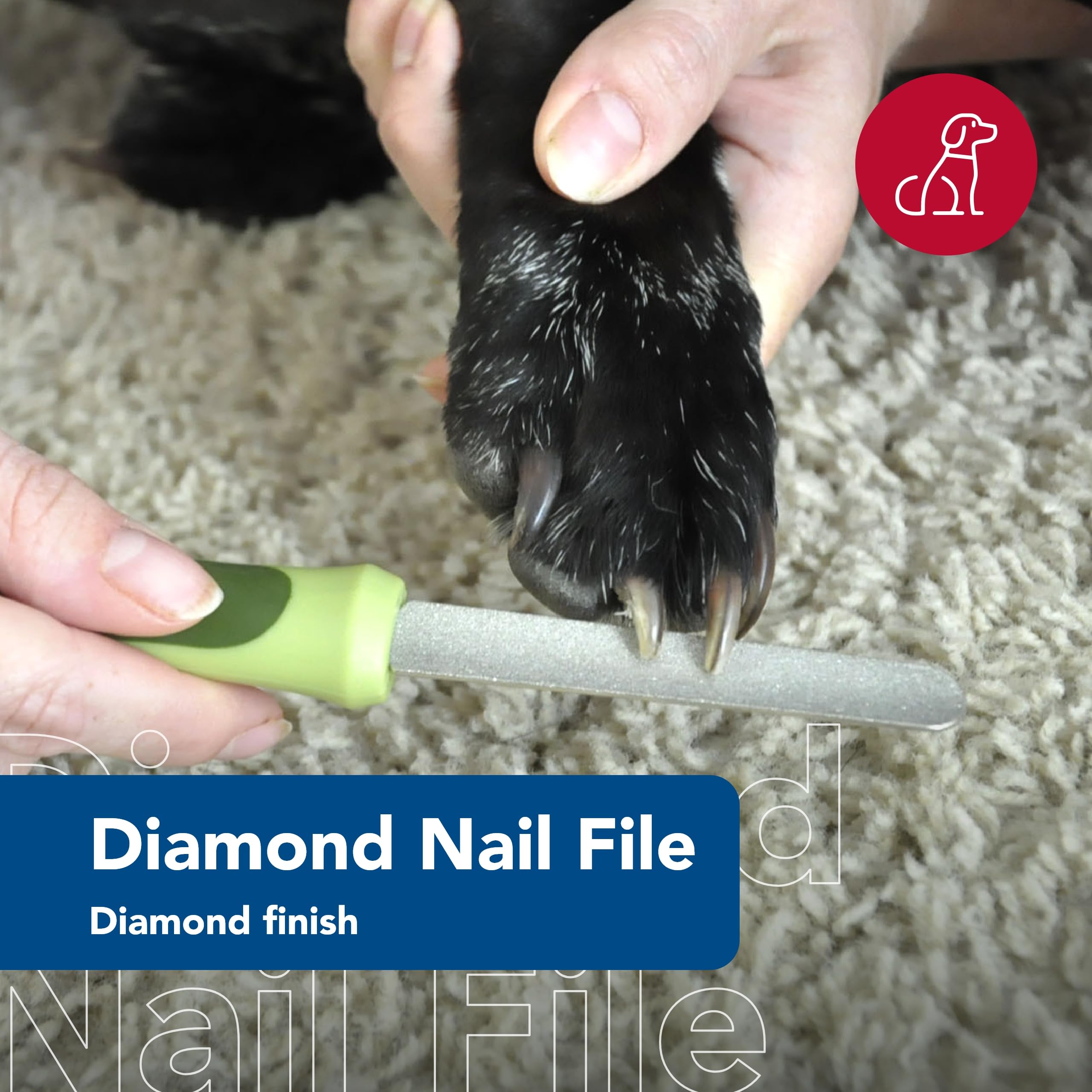 Coastal Pet Safari Dog Diamond Nail File - Diamond Finish For Smooth Nails - Removes Burs From Outdoor & Indoor Dogs - One Size