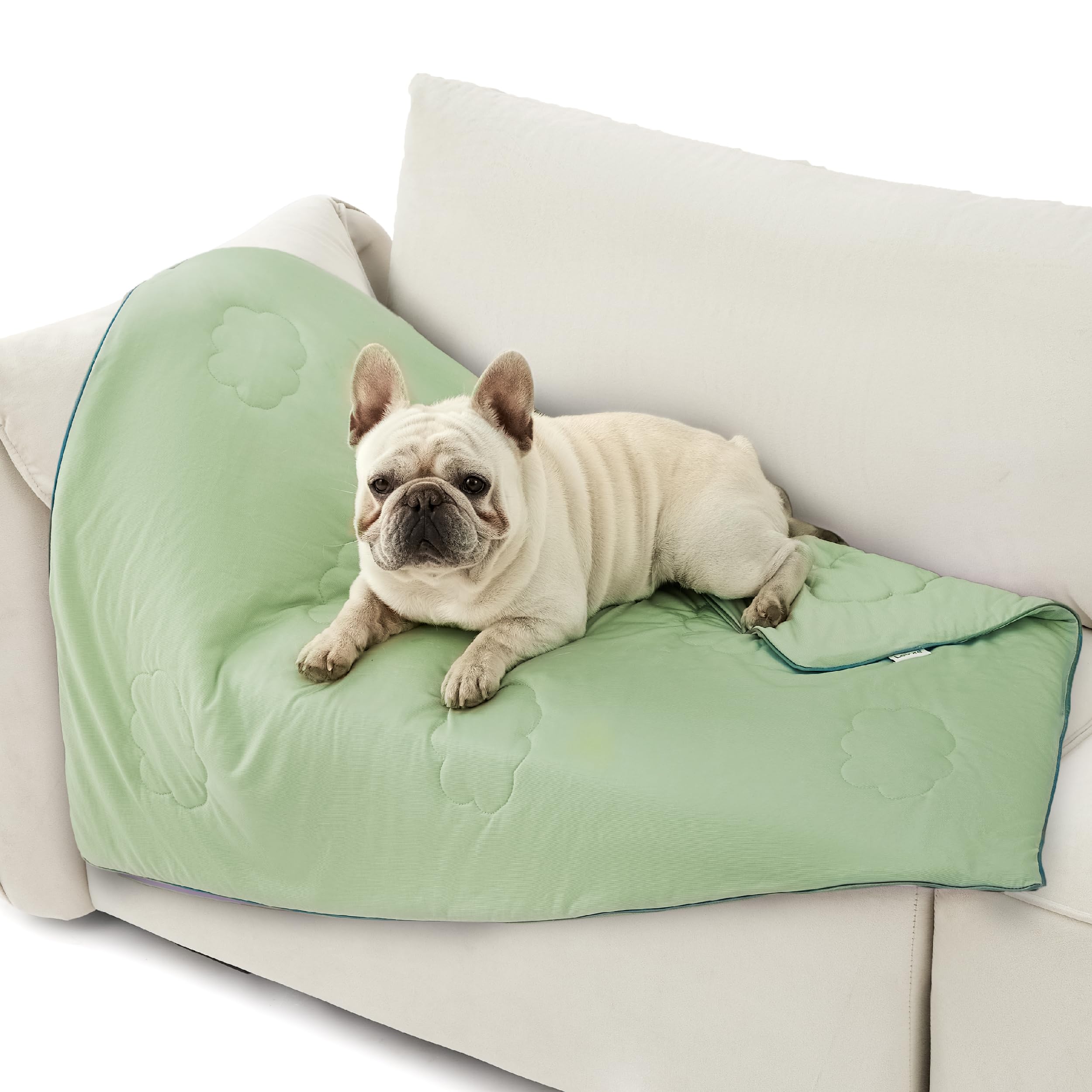 Lesure Premium Cooling Blanket for Medium Dogs - Washable Pet Mat with Q-MAX>0.4, Durable Self Cooling Summer Blanket for Hot We