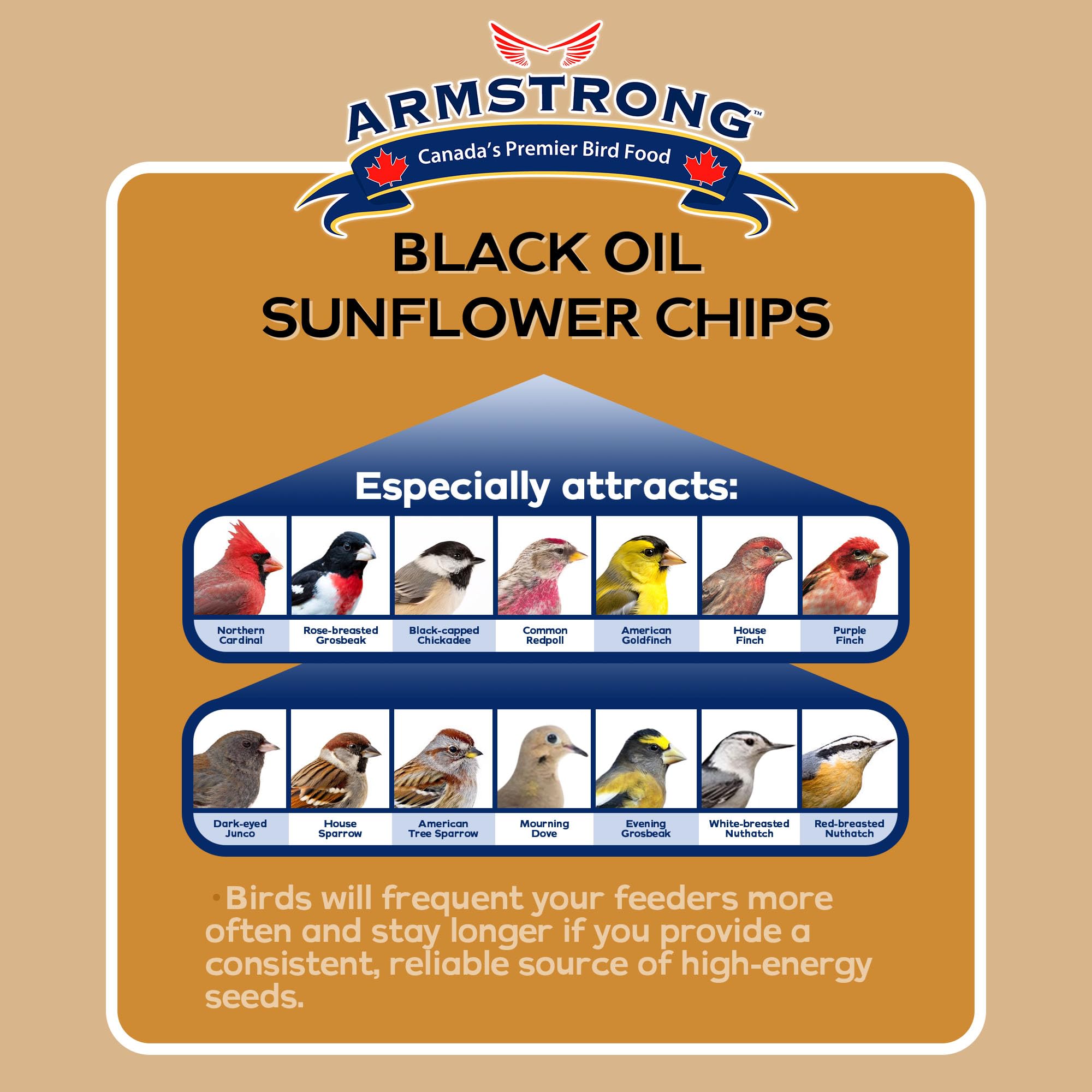 Armstrong Wild Bird Food Black Oil Sunflower Chips, 4 Pounds - for Northern Cardinals, American Goldfinches and Black-Capped Chi