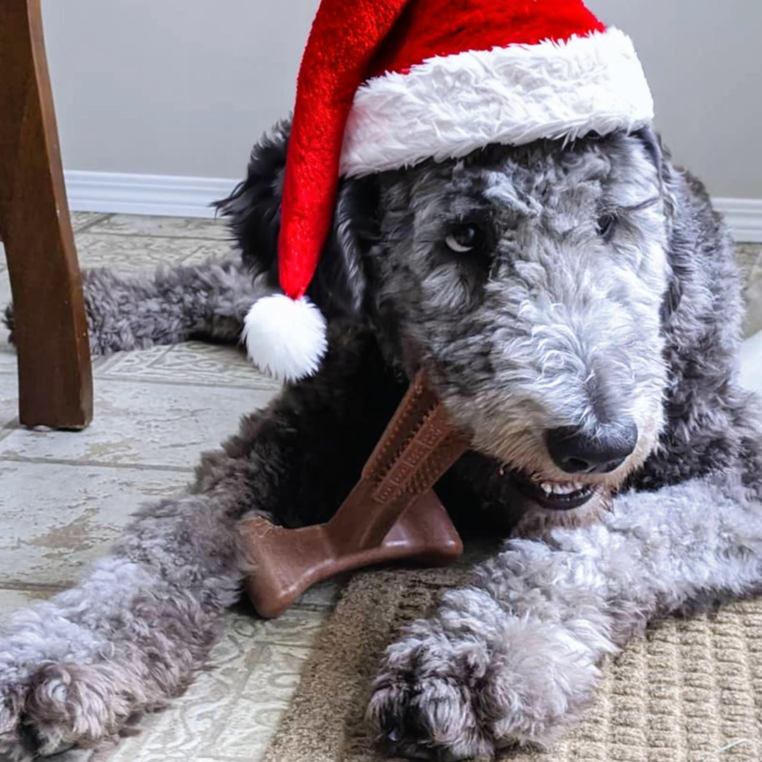 SPOT by Ethical Products 4 in Bambone Plus Easy Grip Peanut Butter, Beef & Chicken Dog Chew Bundle - Bamboo & Nylon Anti Anxiety