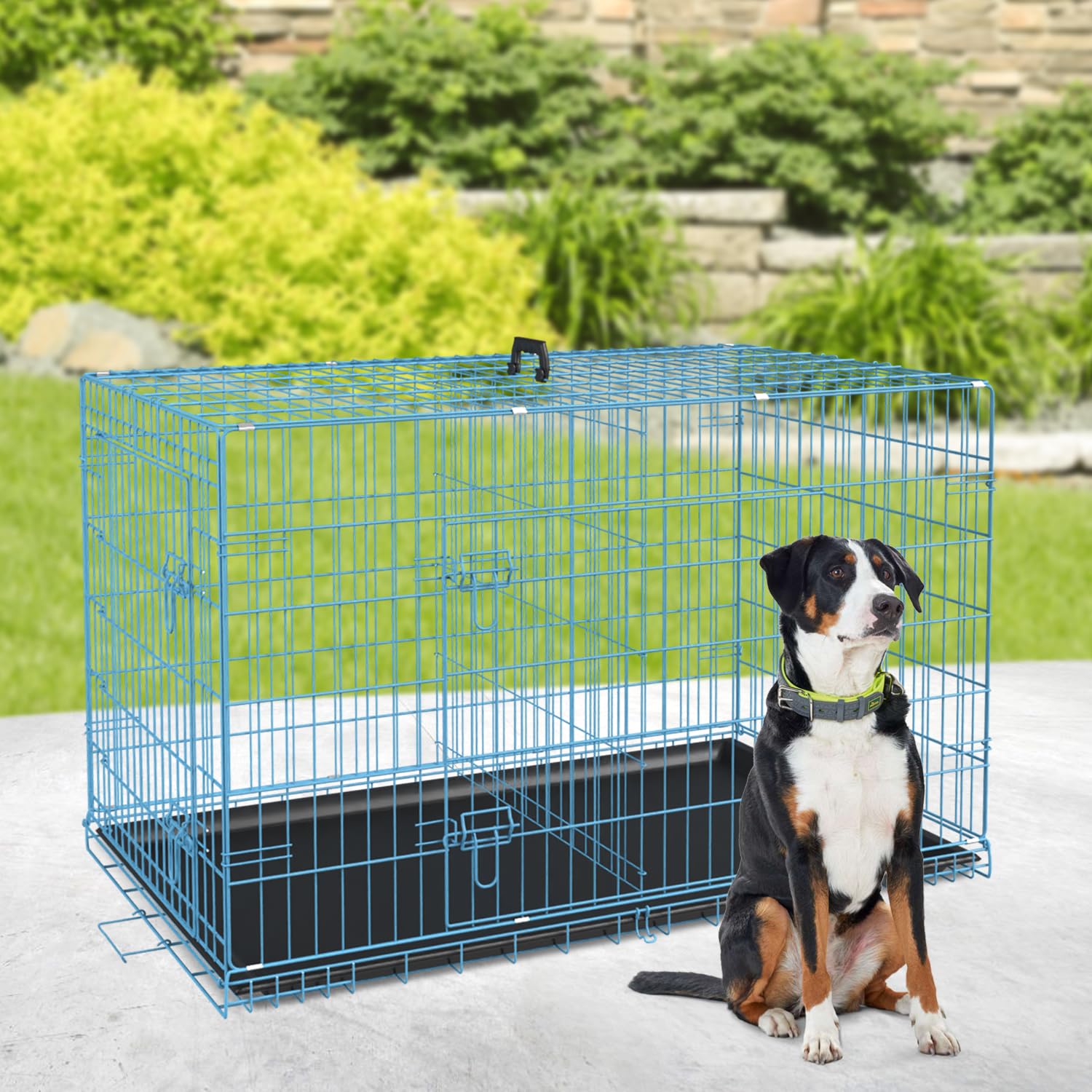 BestPet 36 Inch Dog Crates for Small Medium Dogs Folding Mental Wire Crates Dog Kennels Outdoor and Indoor Pet Dog Cage Crate wi