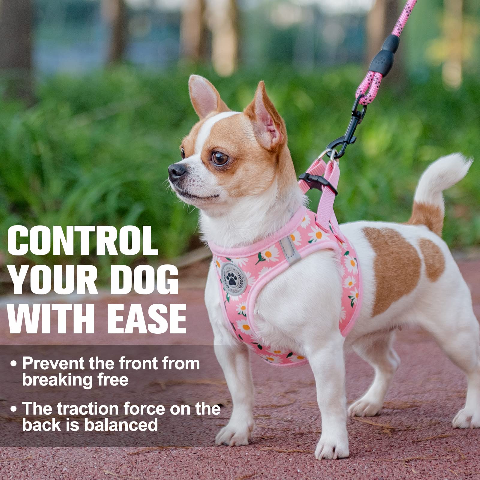 Beautyzoo Step In Dog Harness And Leash Set, Floral Pattern Reflective Dog Harness No Pull No Choke Puppy Harness For Xxs Xs S D