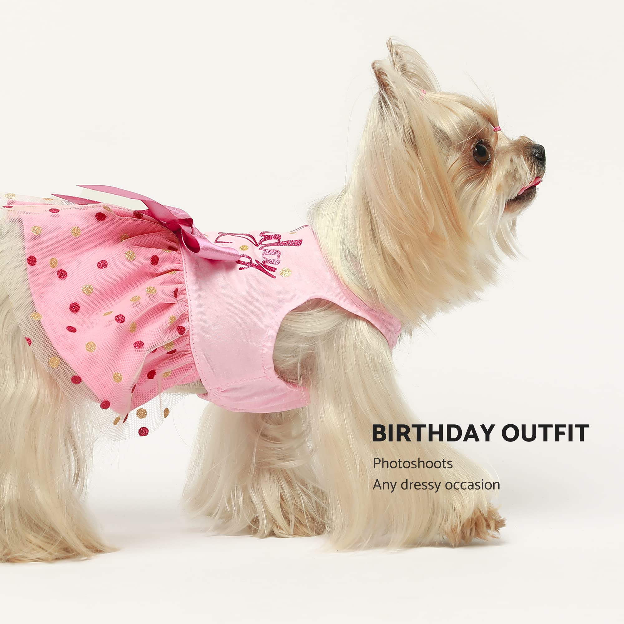 Fitwarm Birthday Girl Dog Tulle Dress, Dog Clothes For Small Dogs Girl, Cat Apparel, Pink, Xx-Small