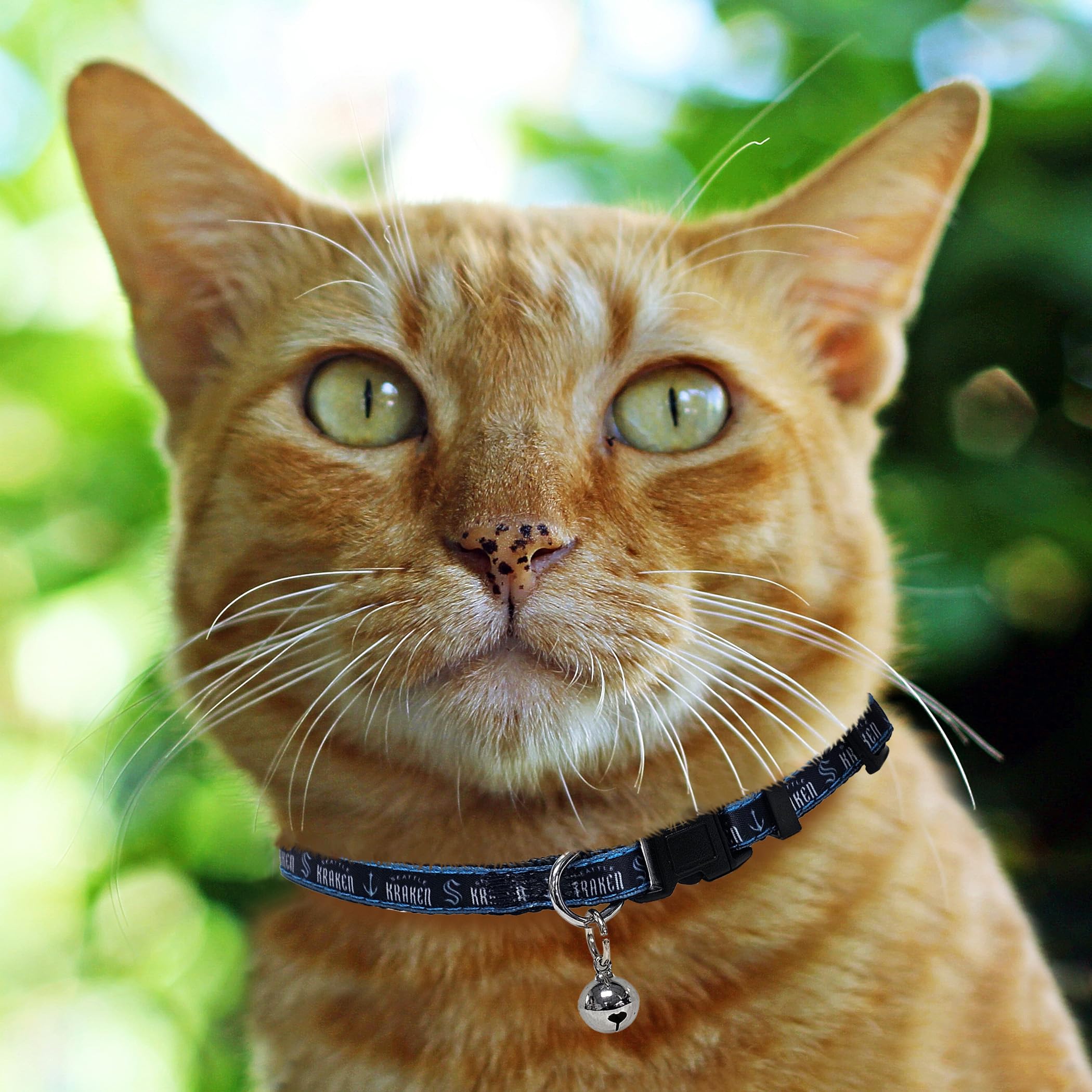 Nhl Cat Collar Seattle Kraken Satin Cat Collar Hockey Team Collar For Dogs & Cats. A Shiny & Colorful Cat Collar With Ringing Be