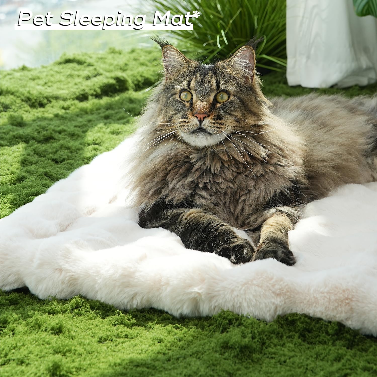 Somahe Cat Beds Cozy Pet Mat Faux Fur Kitten Pad Bed For Carriers/Couch Dog & Puppy Cute Friendly 23 X 15 Inch Medium White