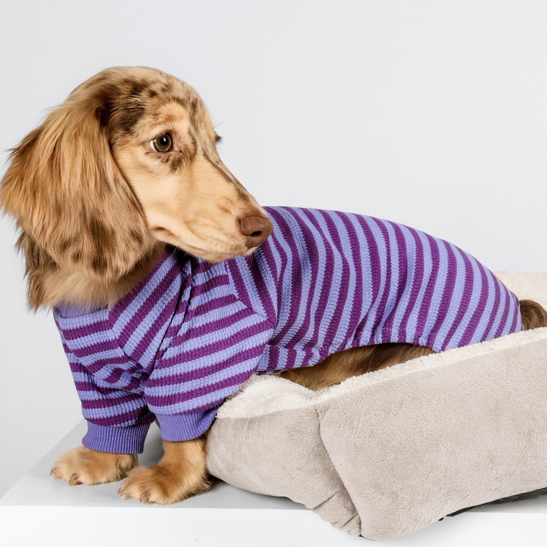 Fitwarm Purple And Violet Striped Dog Pajamas, Waffle Dog Clothes For Small Dogs Girl Boy, Puppy Onesie With Feet, Pet Cat Outfi