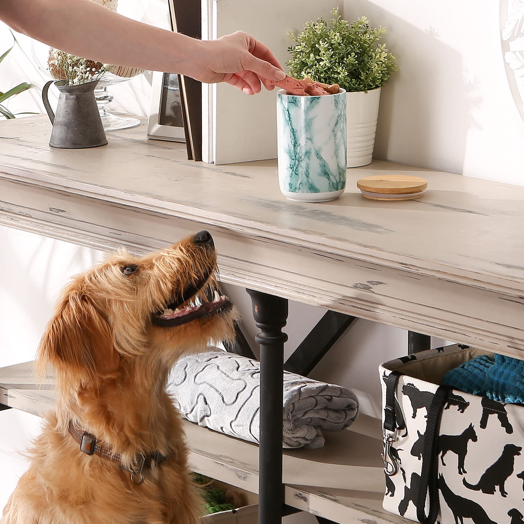 Bone Dry Ceramic Marble Treat Jar for Pets Dishwasher Safe, Dishwasher Safe, Bamboo Lid - Push & Twist to Close, Canister, 4x6.5