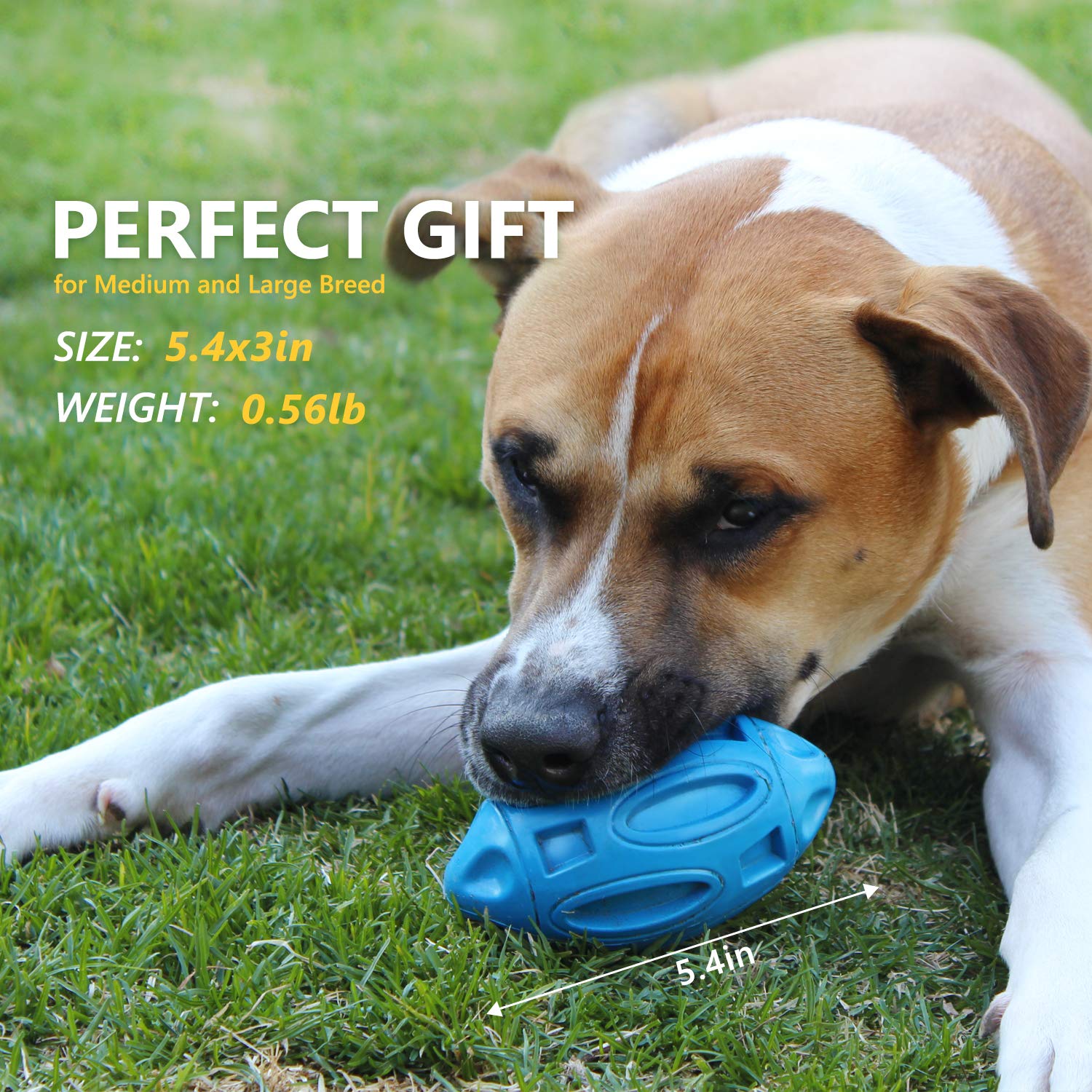 EASTBLUE Squeaky Dog Chew Ball - Indestructible Rubber Toy for Medium/Large Breeds - Blue