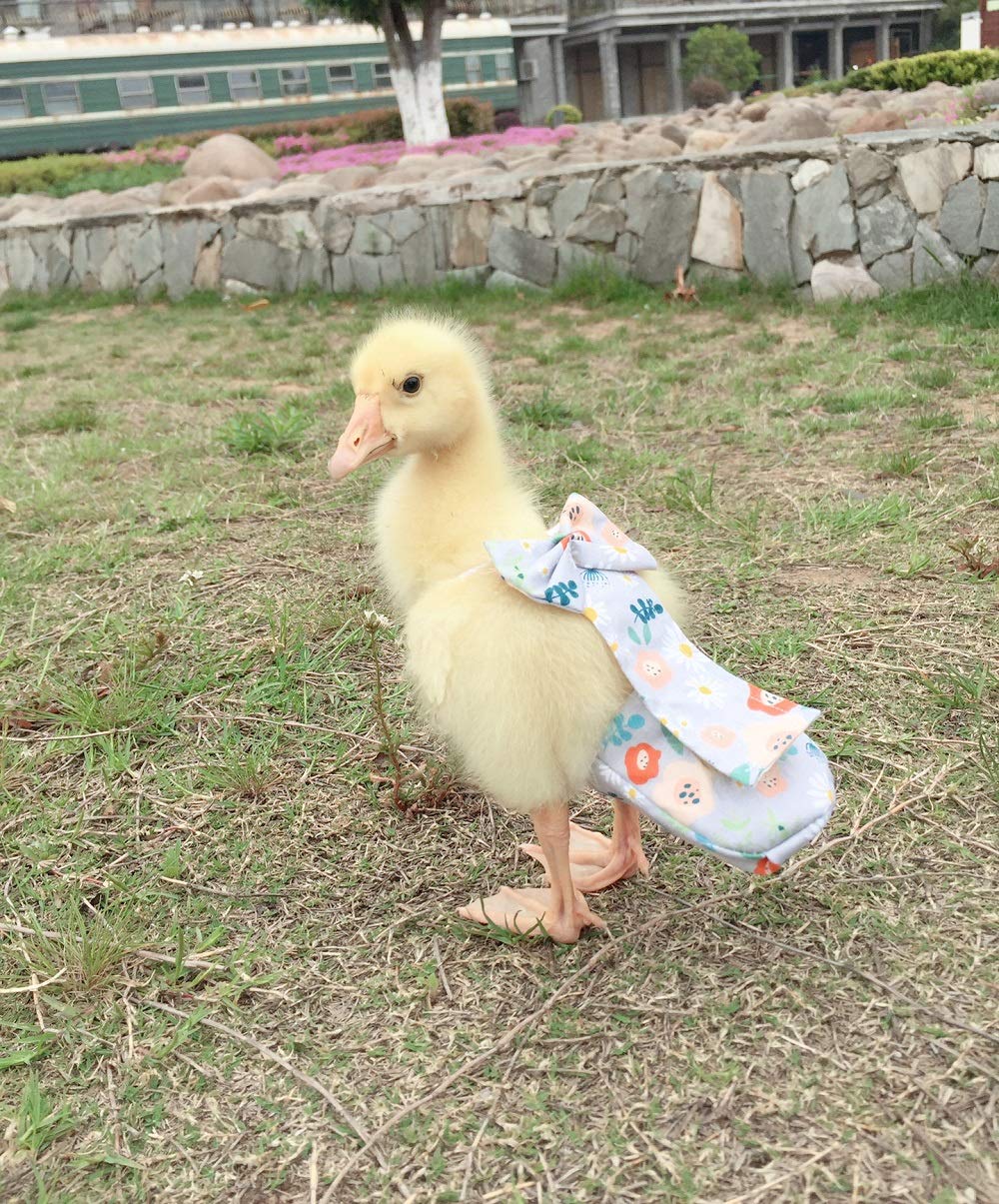 HEZHUO Duck Diapers, Chicken Diapers, Special Diapers for Poultry, Chicken, Duck and Goose Waterproof, Adjustable, Washable and