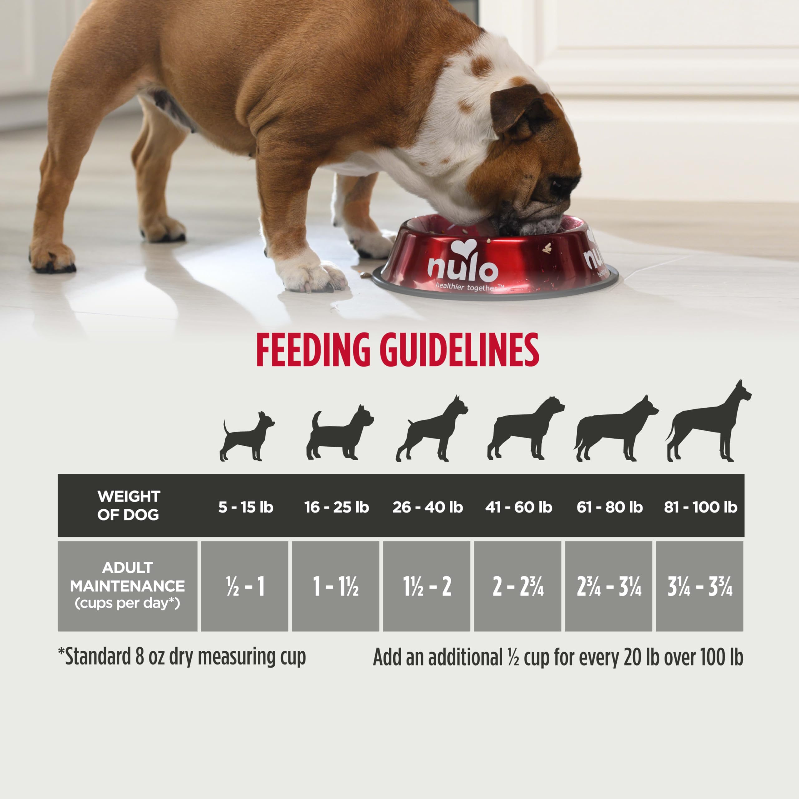 Nulo Freestyle All Breed Senior Dry Dog Food, Premium Grain-Free Dog Kibble with Healthy Digestive Aid BC30 Probiotic and Chonoi