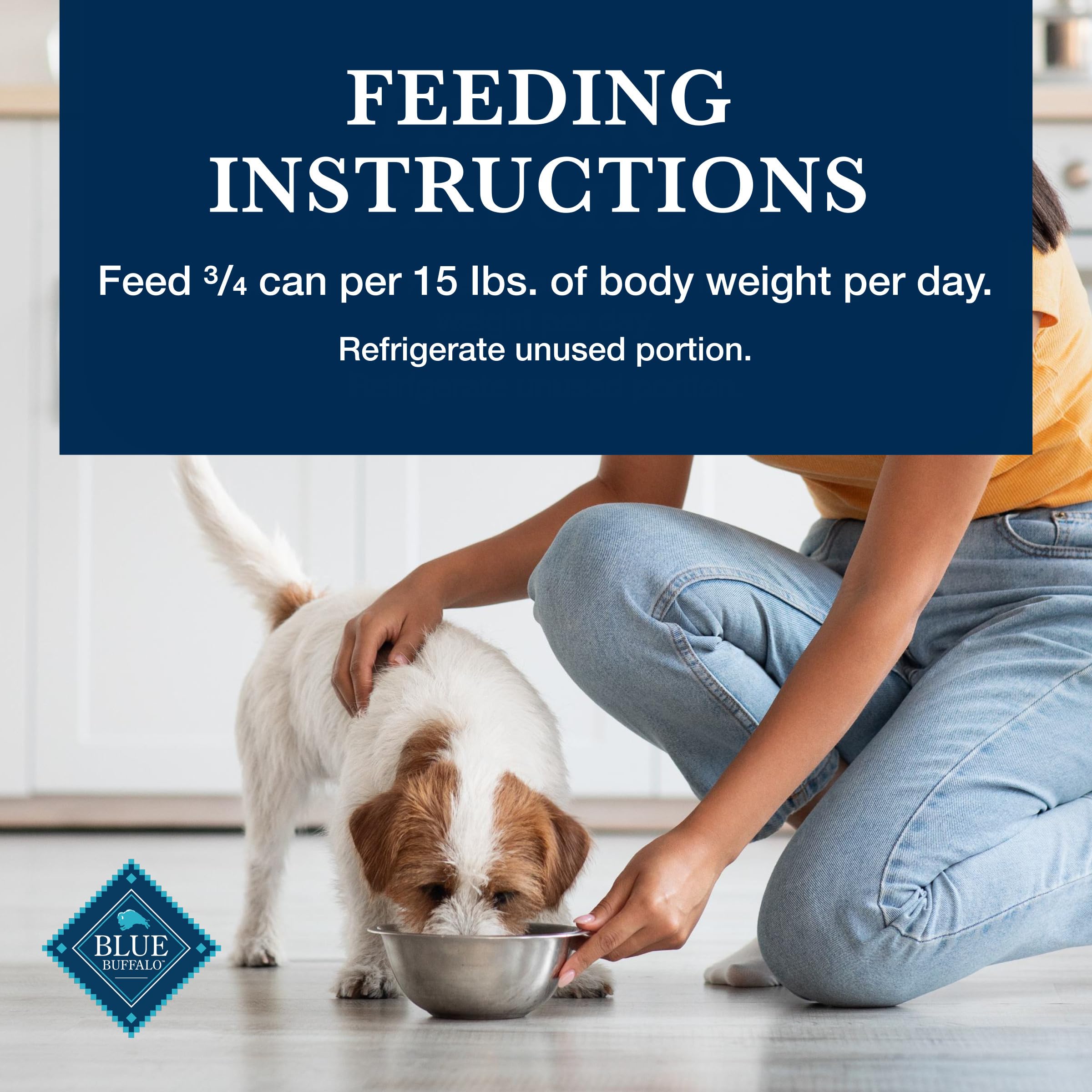 Blue Buffalo Homestyle Recipe Adult Wet Dog Food, Made with Natural Ingredients, Fish & Sweet Potato Dinner With Garden Vegetabl