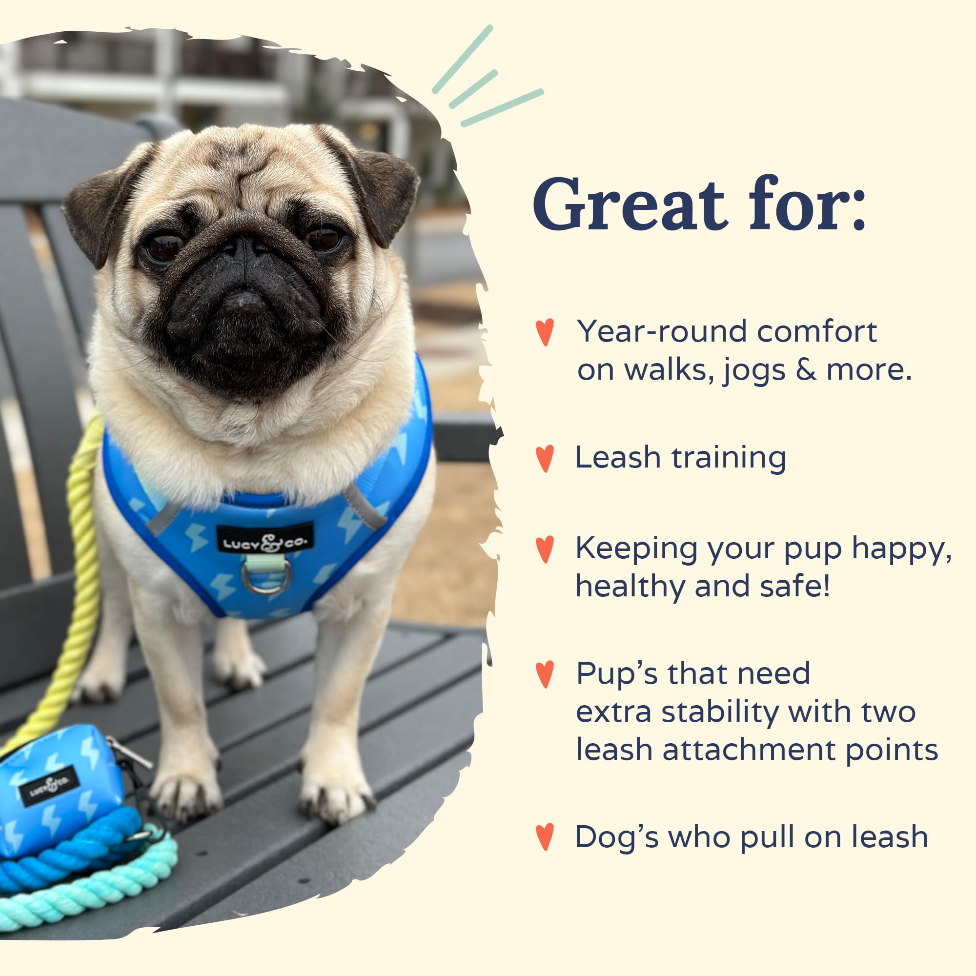 Lucy & Co. The Bolt of Lightning No-Pull Dog Harness - Size X-Small, Blue Green - Vest to Stop Pulling & Walk Easy - Comfortable
