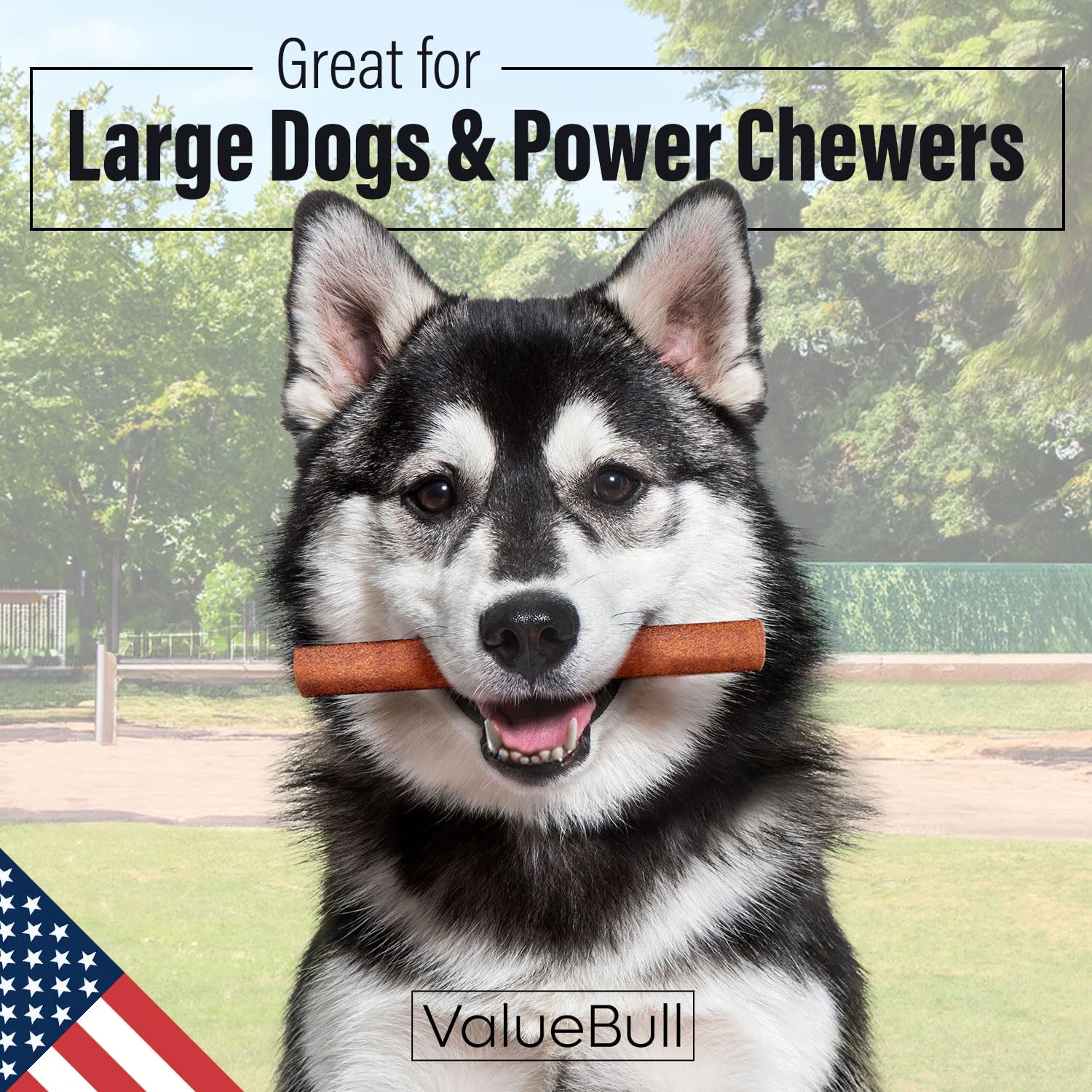 ValueBull USA Collagen Sticks for Dogs, 6 Inch Jumbo Chews, Natural Long-Lasting Dog Treats, 25 Count - Promotes Joint, Skin & C
