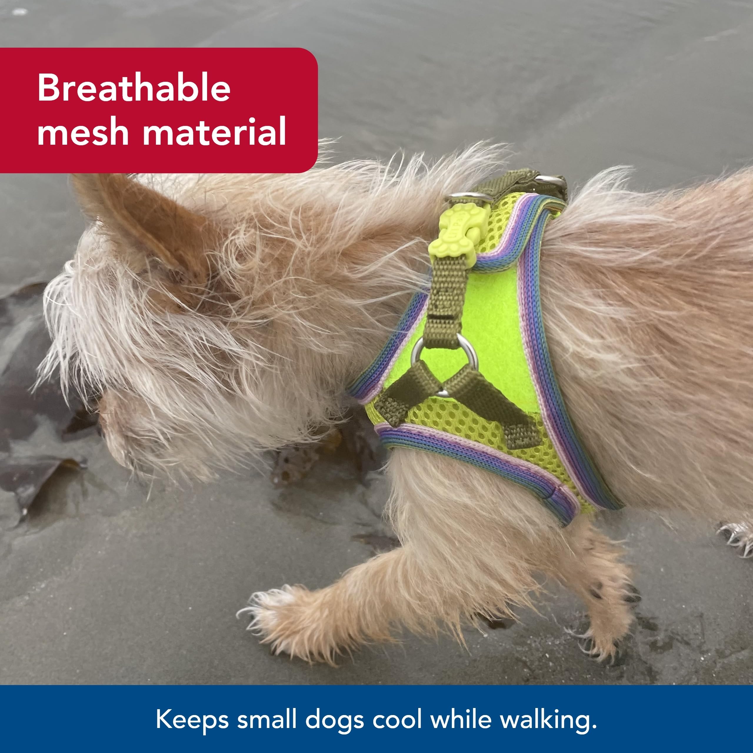 Coastal Pet Li'L Pals Comfort Mesh Dog Harness - No-Pull Step-In Dog Harness For Small Dogs & Puppies - Dog Cooling Vest - Lime
