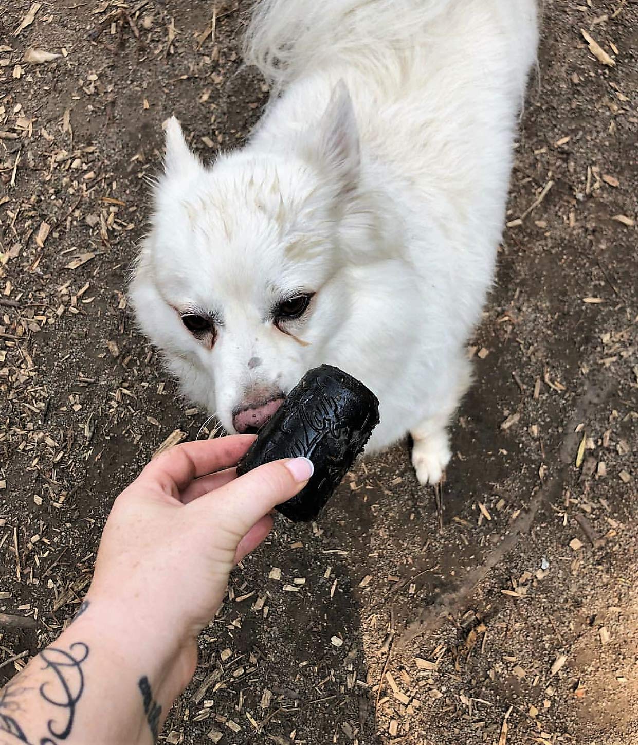SP Magnum Can Toy Ultra Durable Rubber Chew Toy & Treat Dispenser
