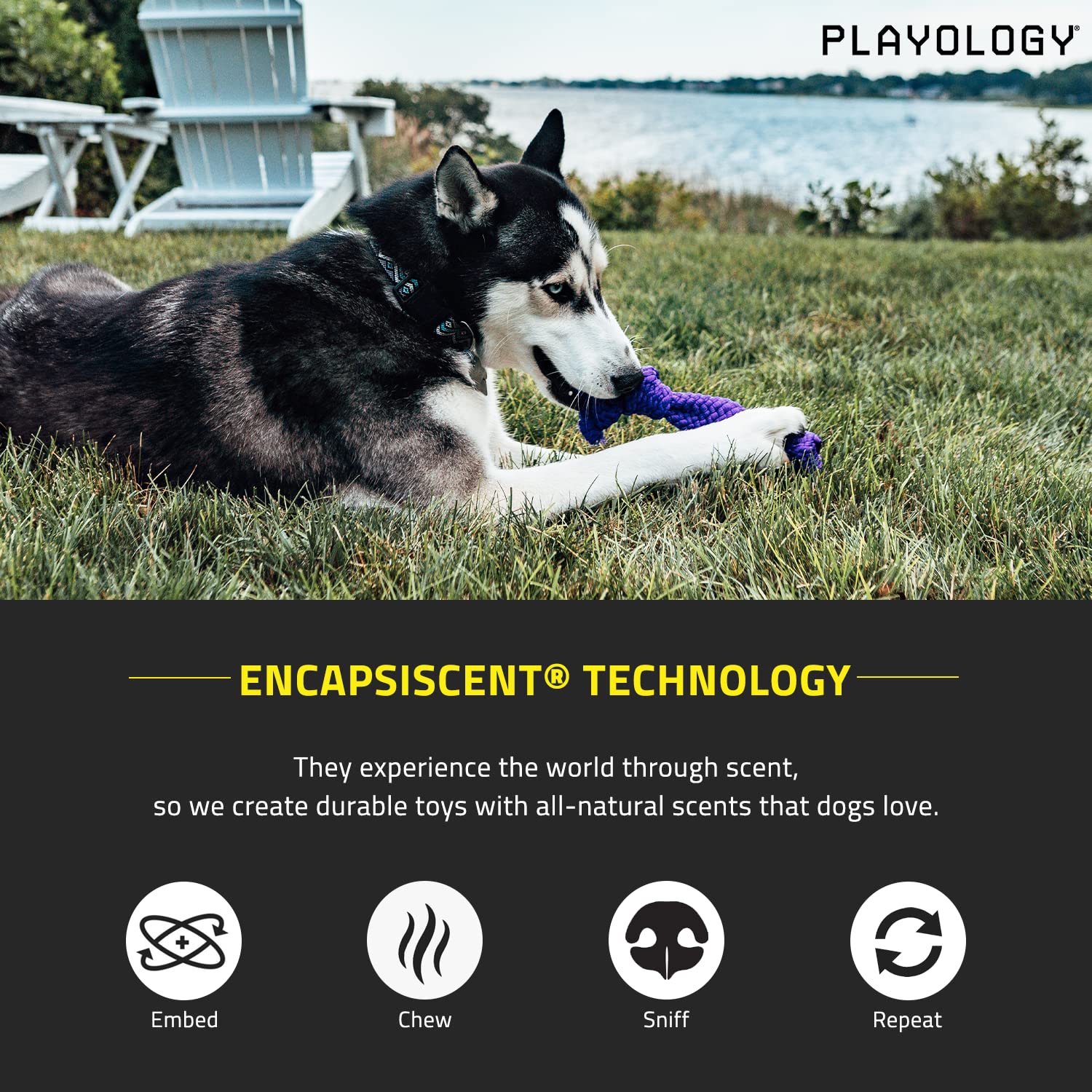 Playology Silver Dri-Tech Dental Rope Dog Toy, Medium - Designed For Senior Dogs (15-35Lbs) - Engaging All-Natural Peanut Butter Scented Toy - Non-Toxic Materials And Moderate Chewing For Older Teeth