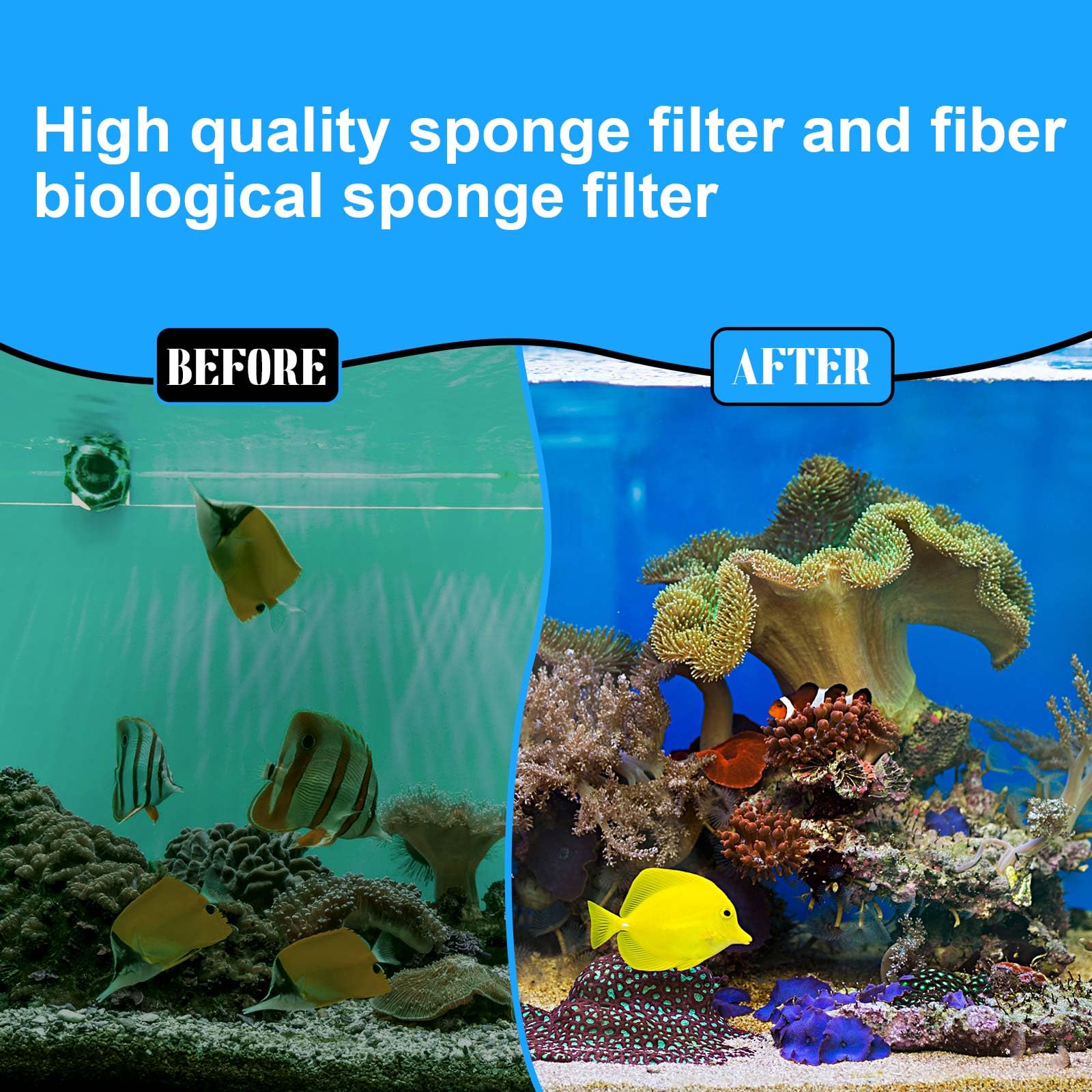 Threlaco Aquarium Filter Media Kit - 24 Pcs Compatible with Fluval Fx4/Fx5/Fx6 - Bio-Sponge Pads, Activated Carbon, Ceramic Rings