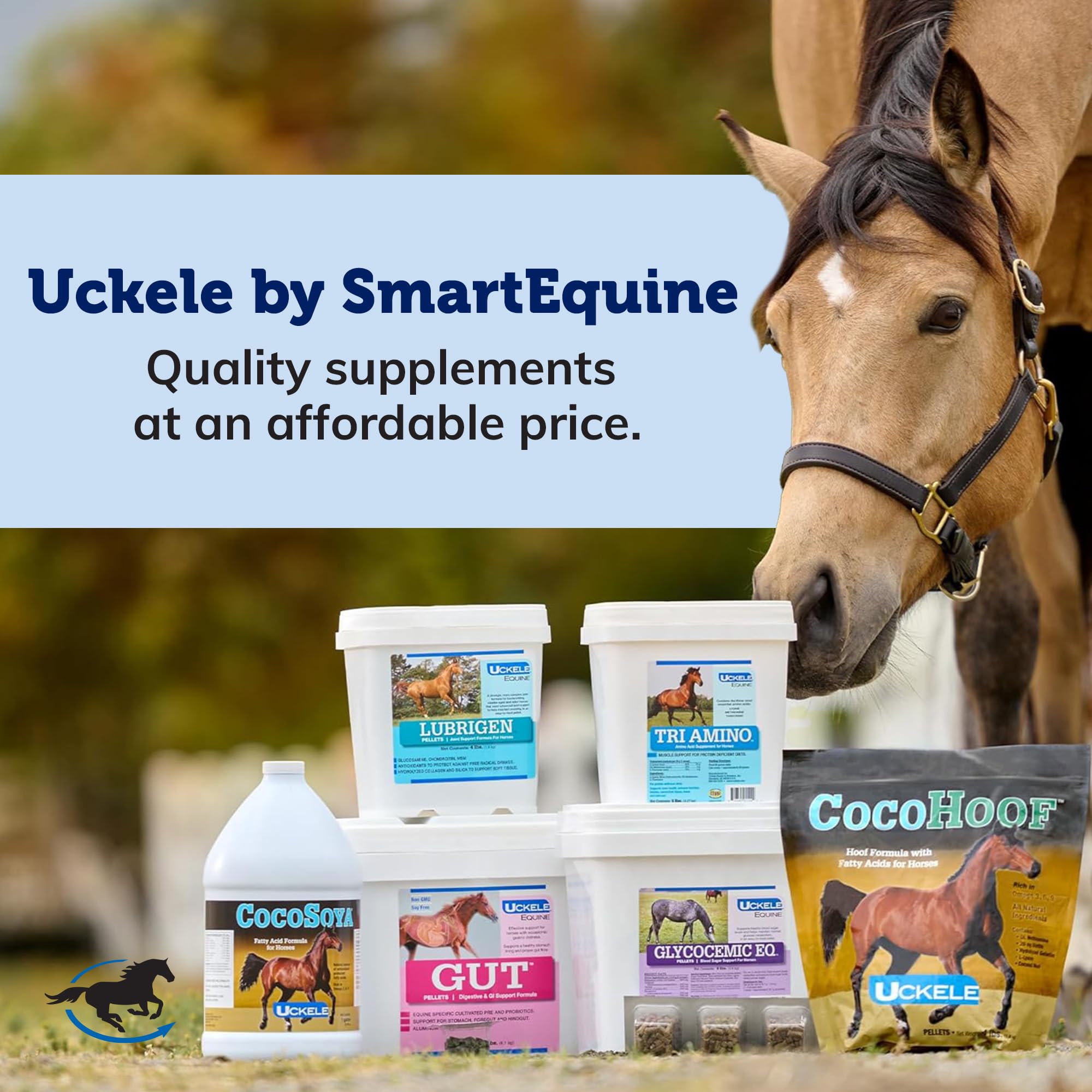 Uckele by SmartEquine Lubrigen Pellets | Advanced Joint Supplement with Glucosamine, Chondroitin | Horse Supplement for Mobility