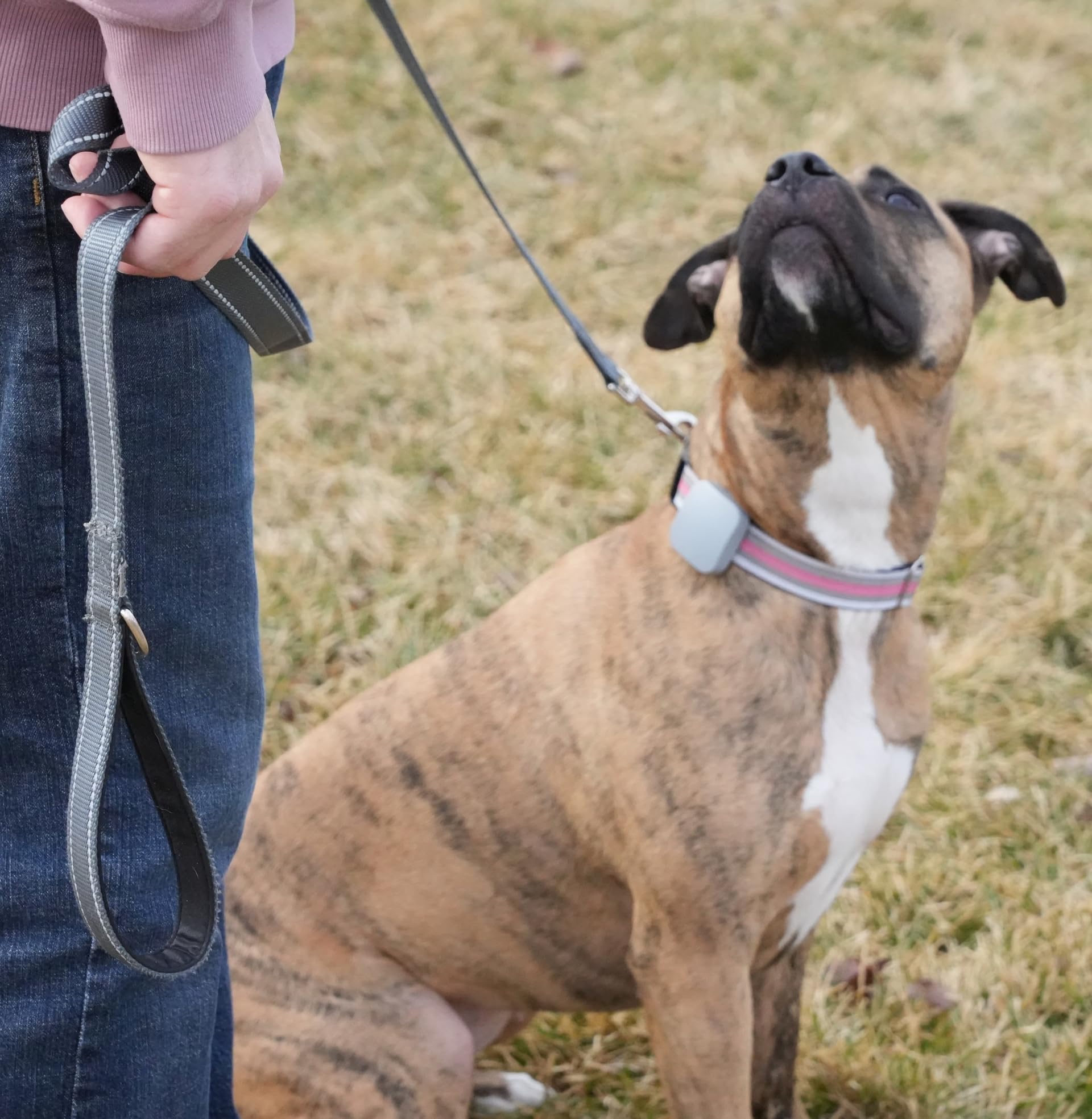 Kona Clip Dog Training Device - Vibration Correction, Waterproof, Rechargeable, Remote Controller for Medium Dogs, Orange