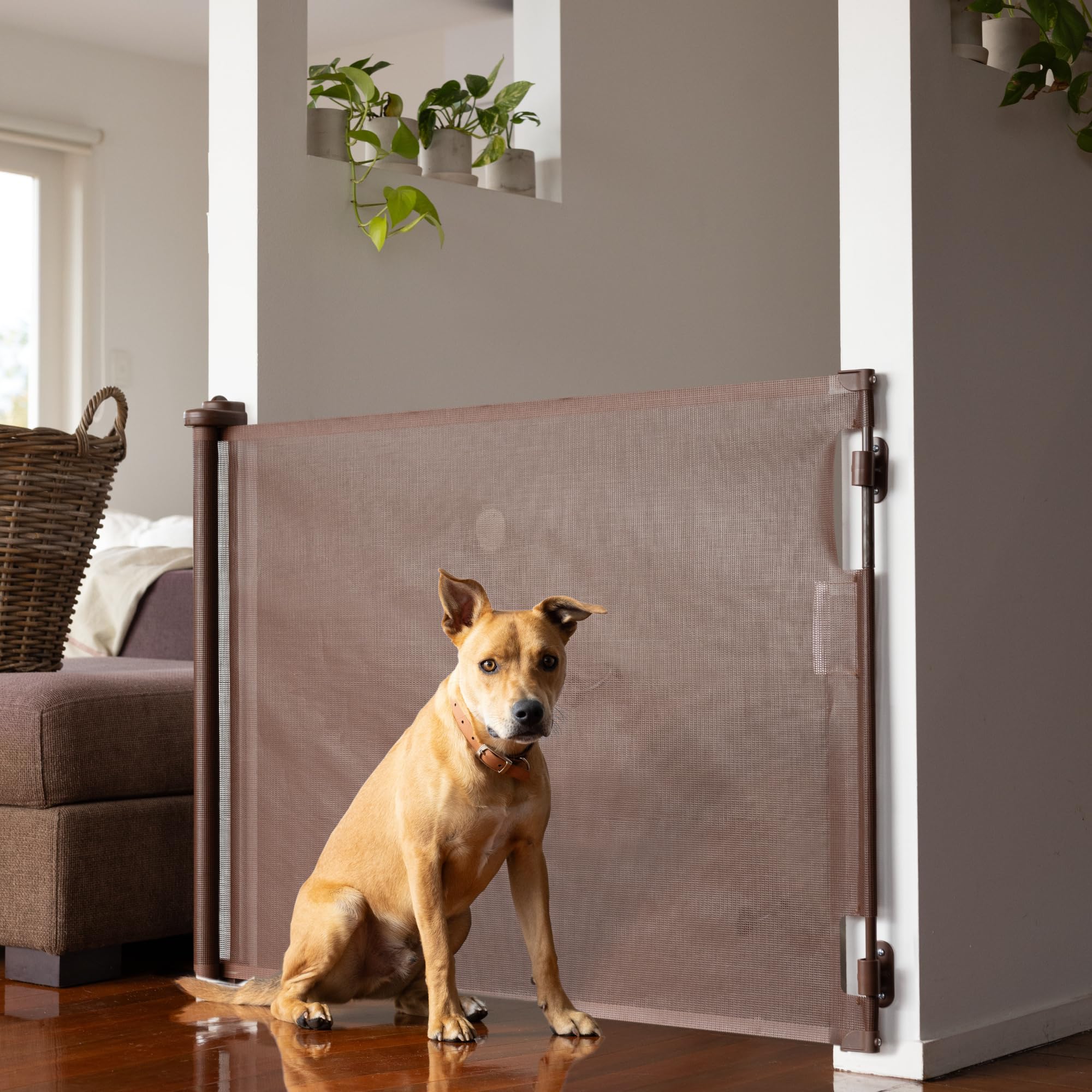 Retractable Baby Gate Perma Child Safety 33 Tall x 71    Wide, Mesh, for Stairs, Doorways, Dogs, Pets, Indoor, Outdoor, One-Hand