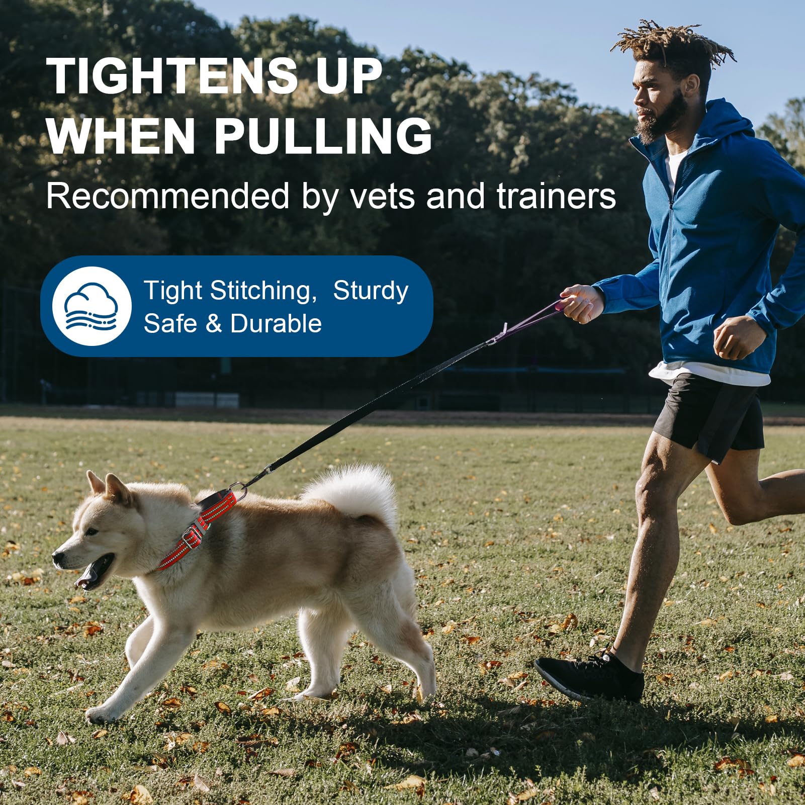 Joyeeiioo Martingale Dog Collar, Adjustable Nylon Reflective Collar With Quick Release Buckle (Bright Orange, Large)