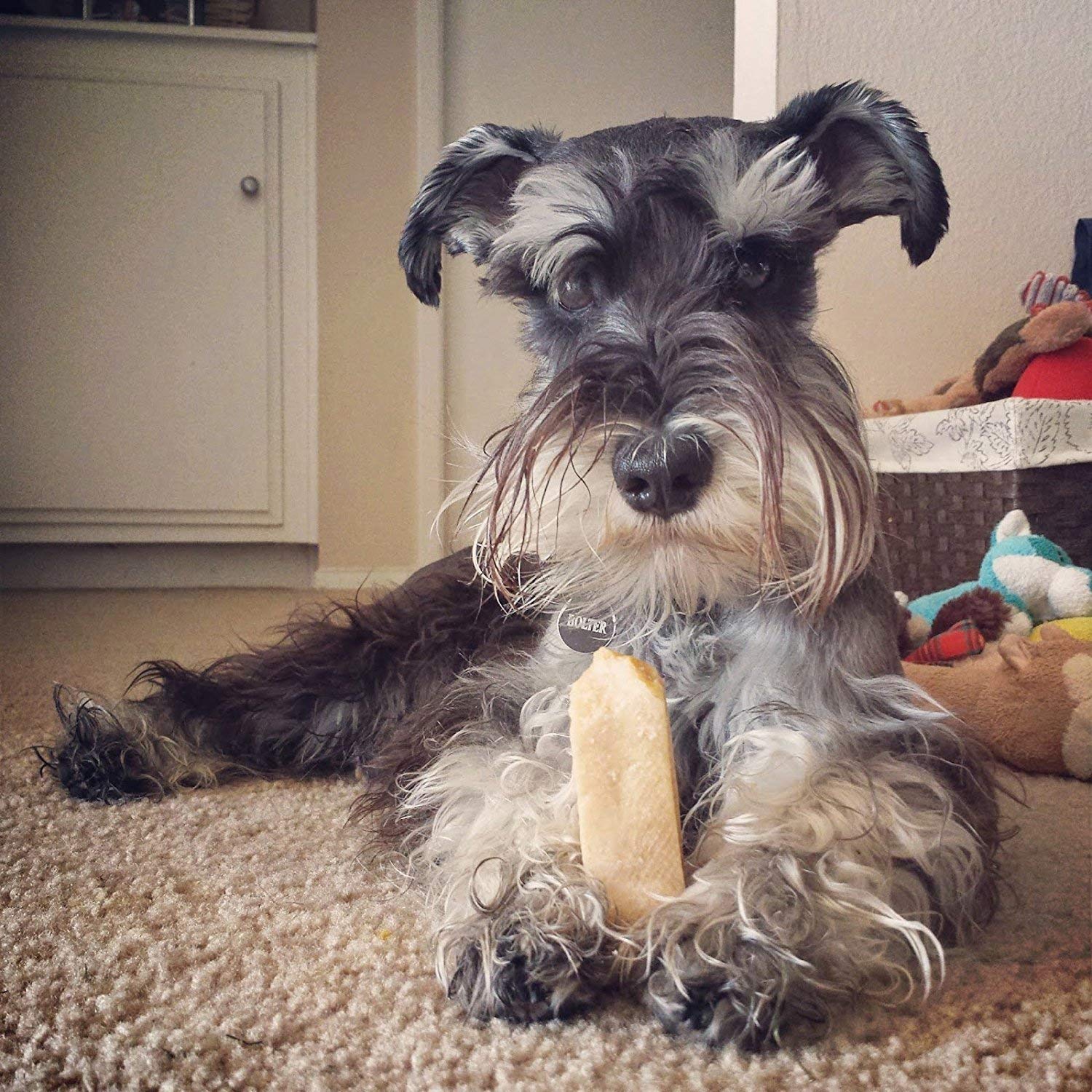 EcoKind Pet Treats Gold Himalayan Yak Cheese Dog Chew, Yak Dog Treats for Active Chewers, 100% Natural & Healthy Chew Sticks for