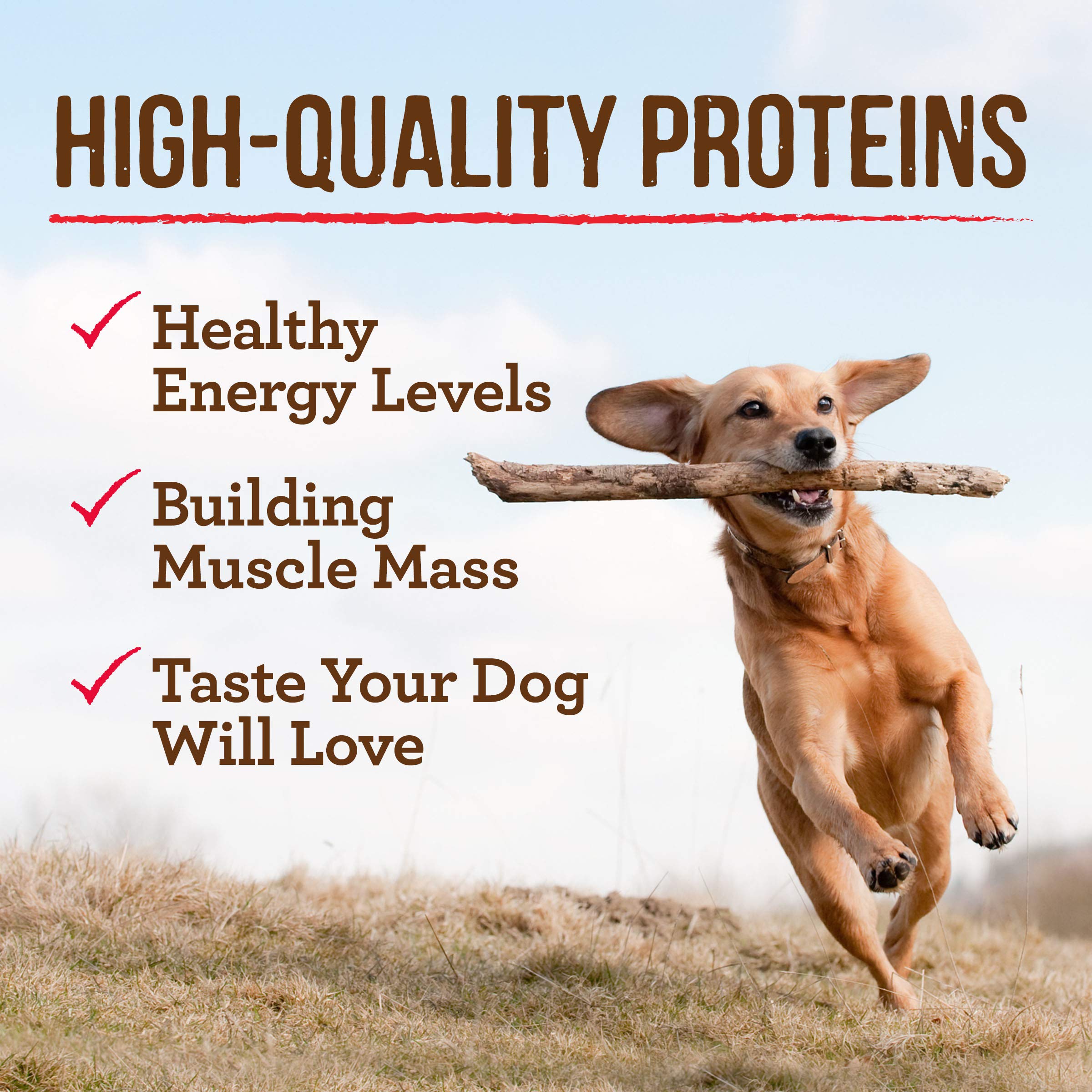 Merrick Chunky Recipes Grain Free Wet Dog Food Variety Pack, Canned Dog Food - (12) 12.7 oz. Cans