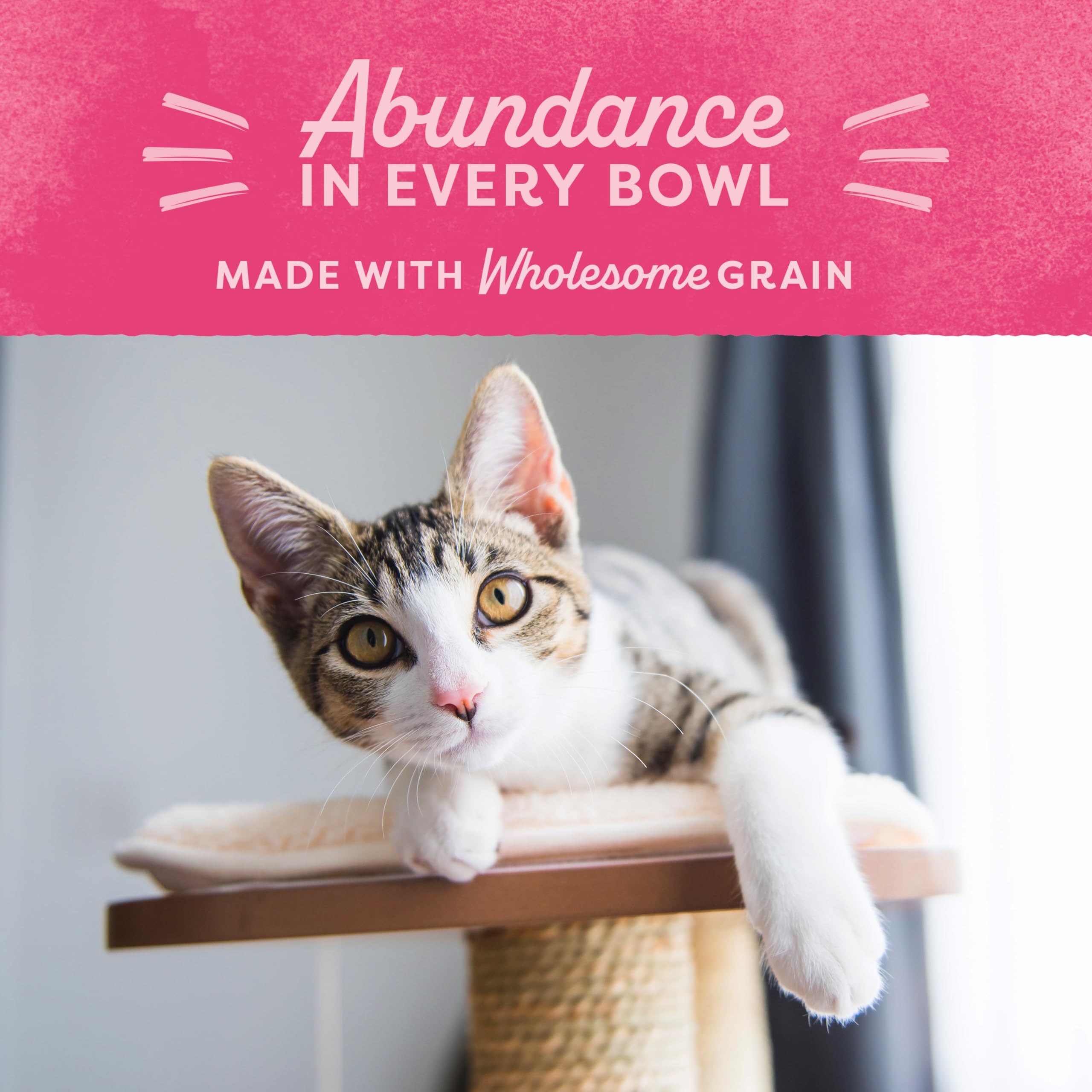 Natural Balance Fat Cats Low-Calorie Dry Cat Food for Overweight Adult Cats, Chicken Meal, Salmon Meal, Garbanzo Beans, Peas & O