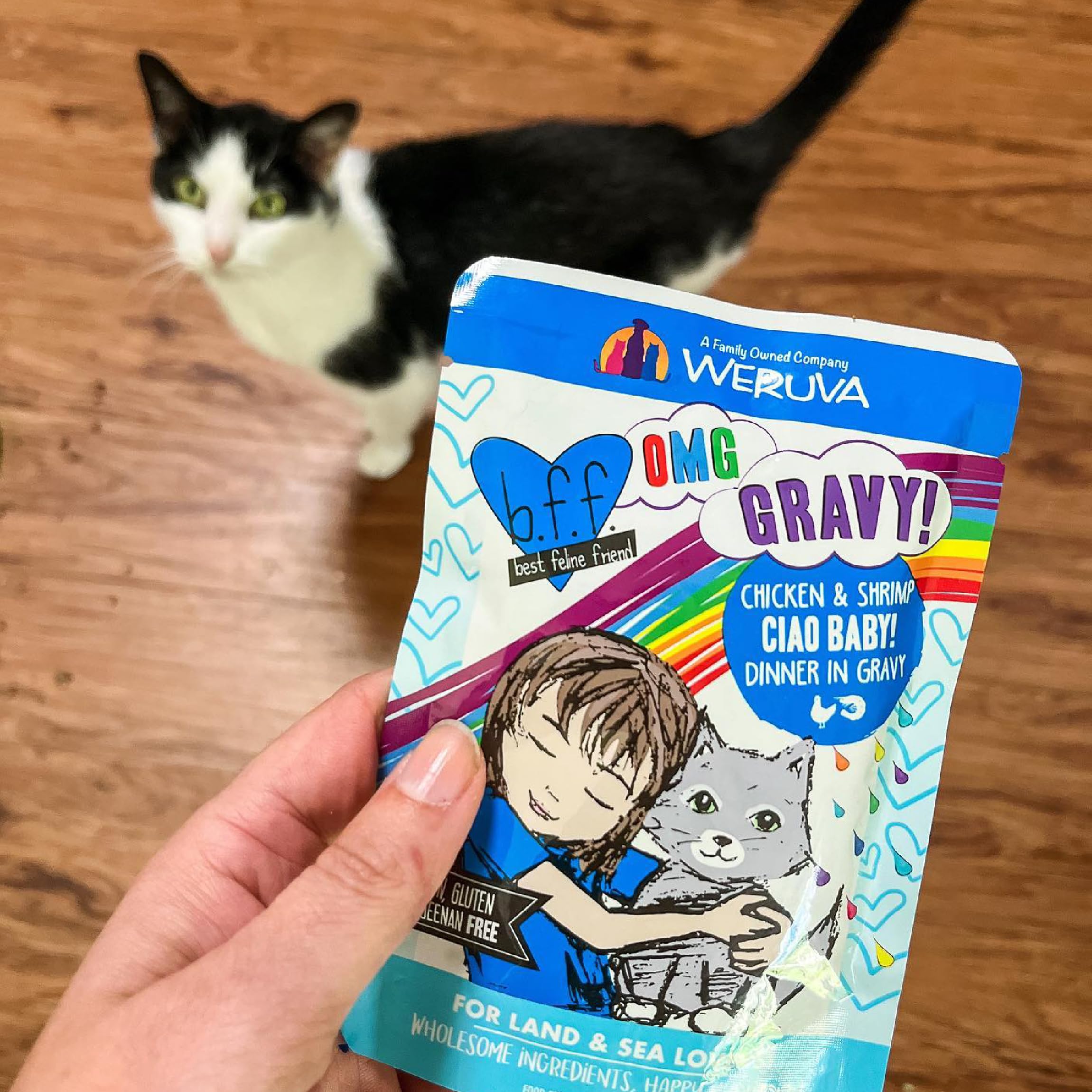 Weruva B.F.F. OMG - Best Feline Friend Oh My Gravy!, Chicken & Turkey Text Me with Chicken & Turkey in Gravy, 2.8oz Pouch (Pack