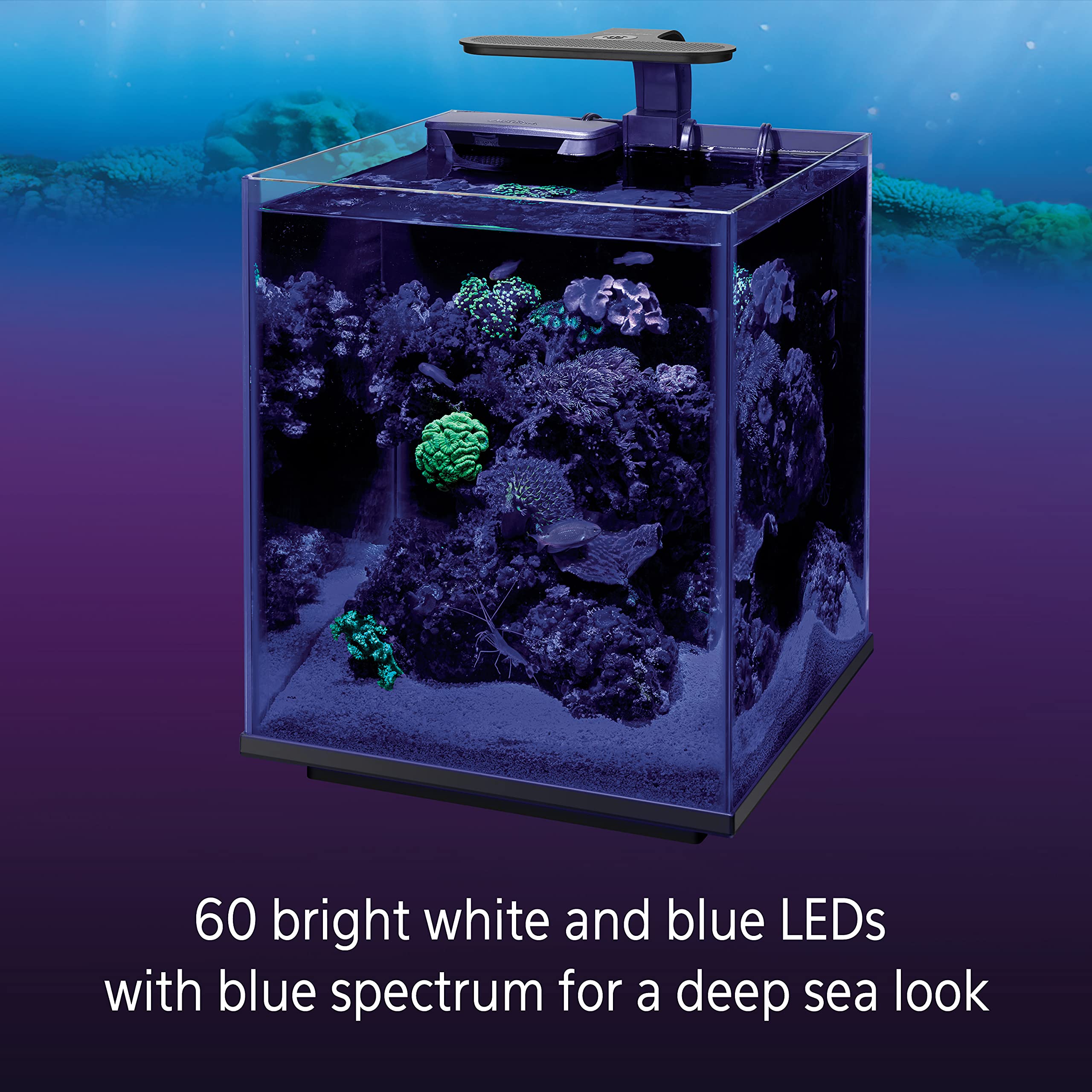 Coralife Aquarium Fish Tank Marine Salt Water Clip-On Led Light