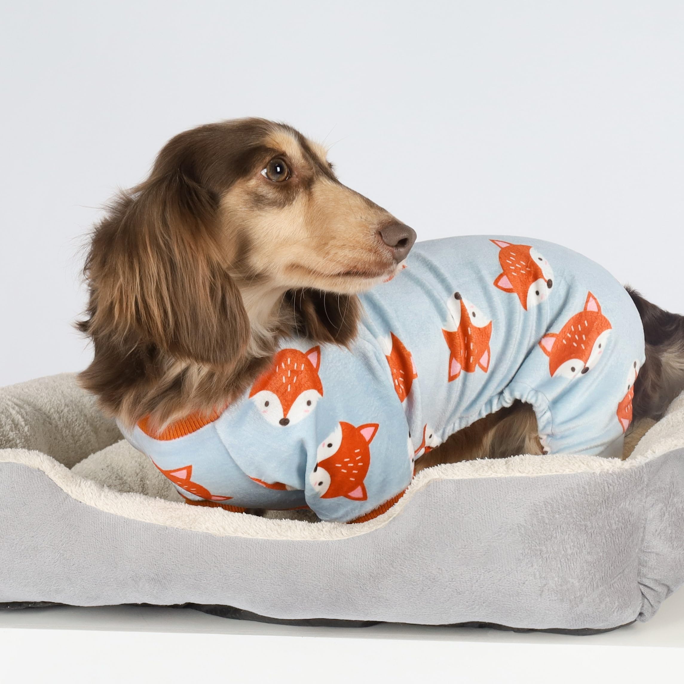 Fitwarm Funny Fox Dog Pajamas, Warm Dog Onesie, Dog Clothes For Small Dogs Girl Boy, Lightweight Velvet, Pet Outfit, Gray, Orang