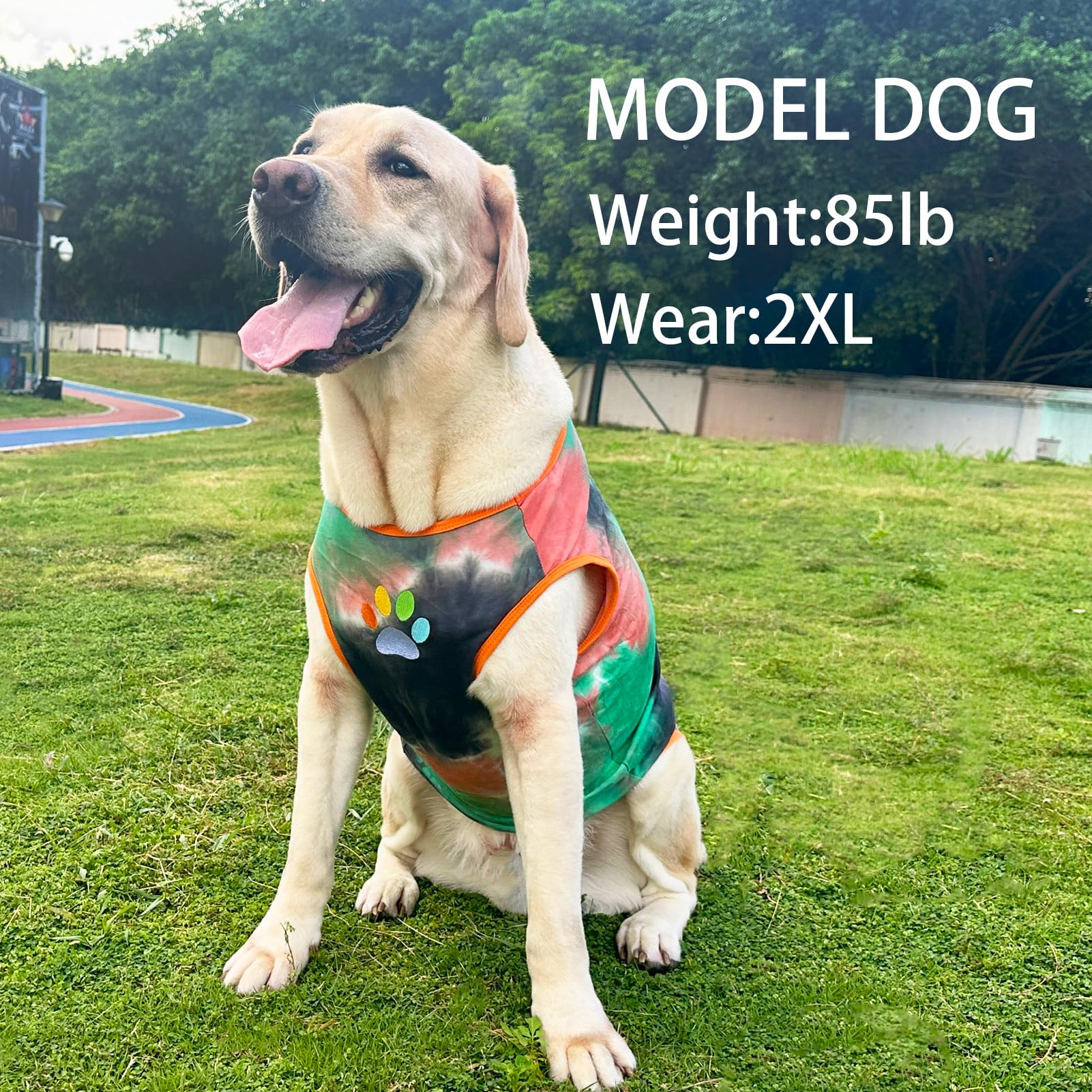 PriPre Dog Shirt Dog Vest Summer Tie Dye Dog Clothes Cool Breathable Cotton T-Shirt Medium Large Dog Boys Girls Shirt(GreenOrang