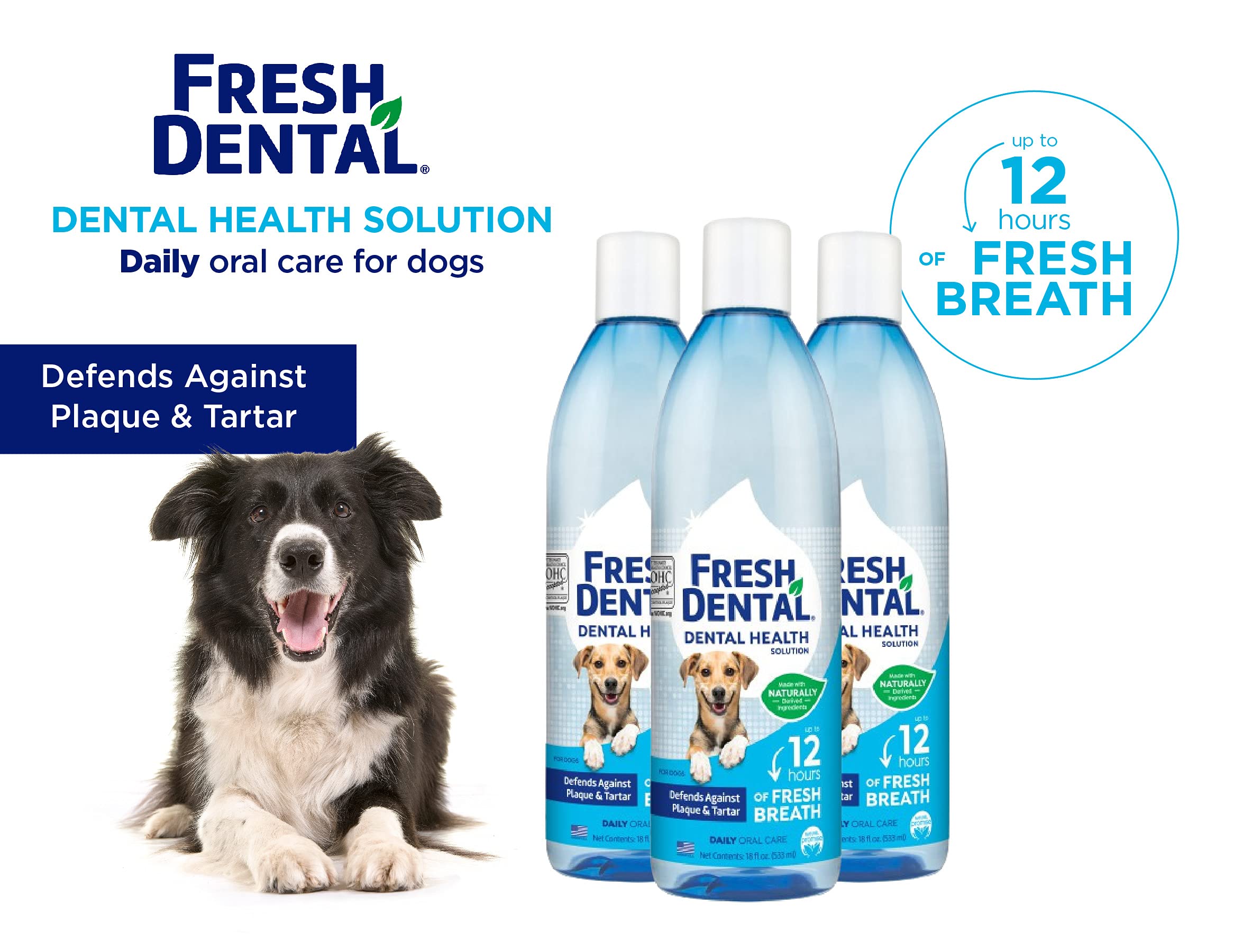 Naturel Promise Fresh Dental Dental Health Solution for Dogs, 18oz - 3 Pack - Oral Health Solution for Dogs - Easy to Use - Help