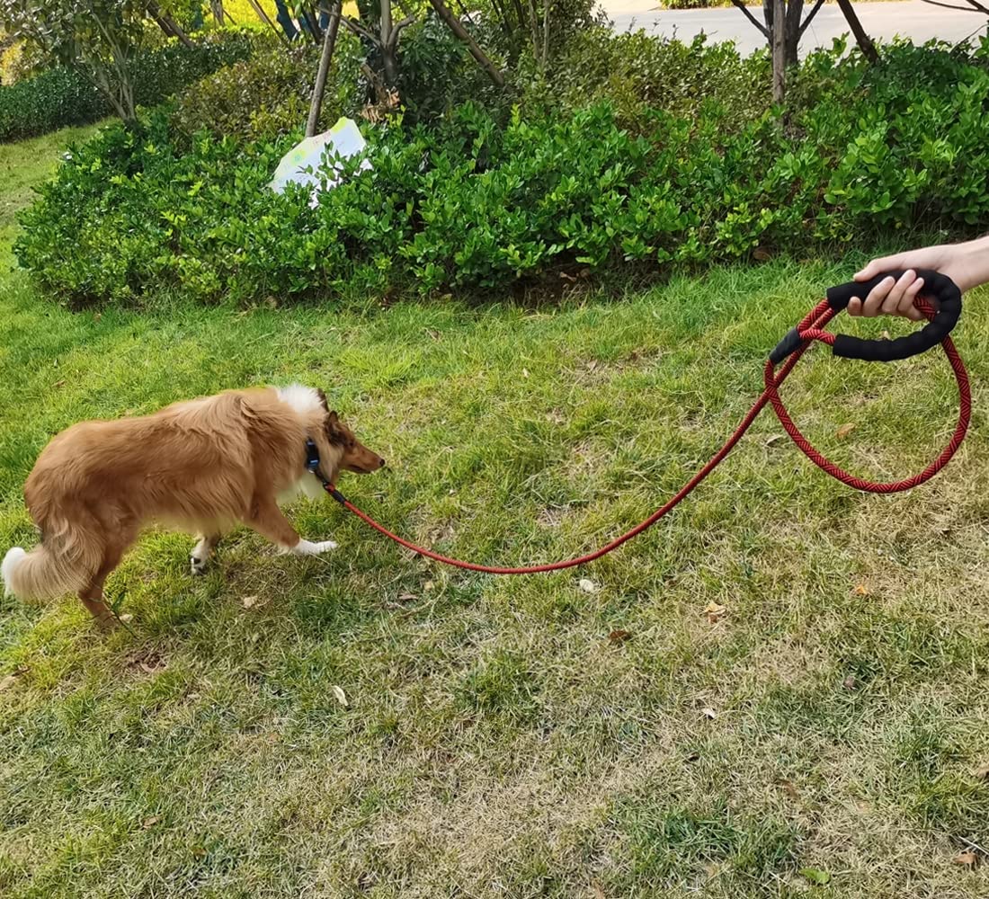 Maypaw Heavy Duty Rope Dog Leash, 3/4/5/6/7/8/10/12/15 Ft Nylon Pet Leash, Soft Padded Handle Thick Lead Leash For Large Medium Dogs Small Puppy (8Ft 1/2' Orange Leash)