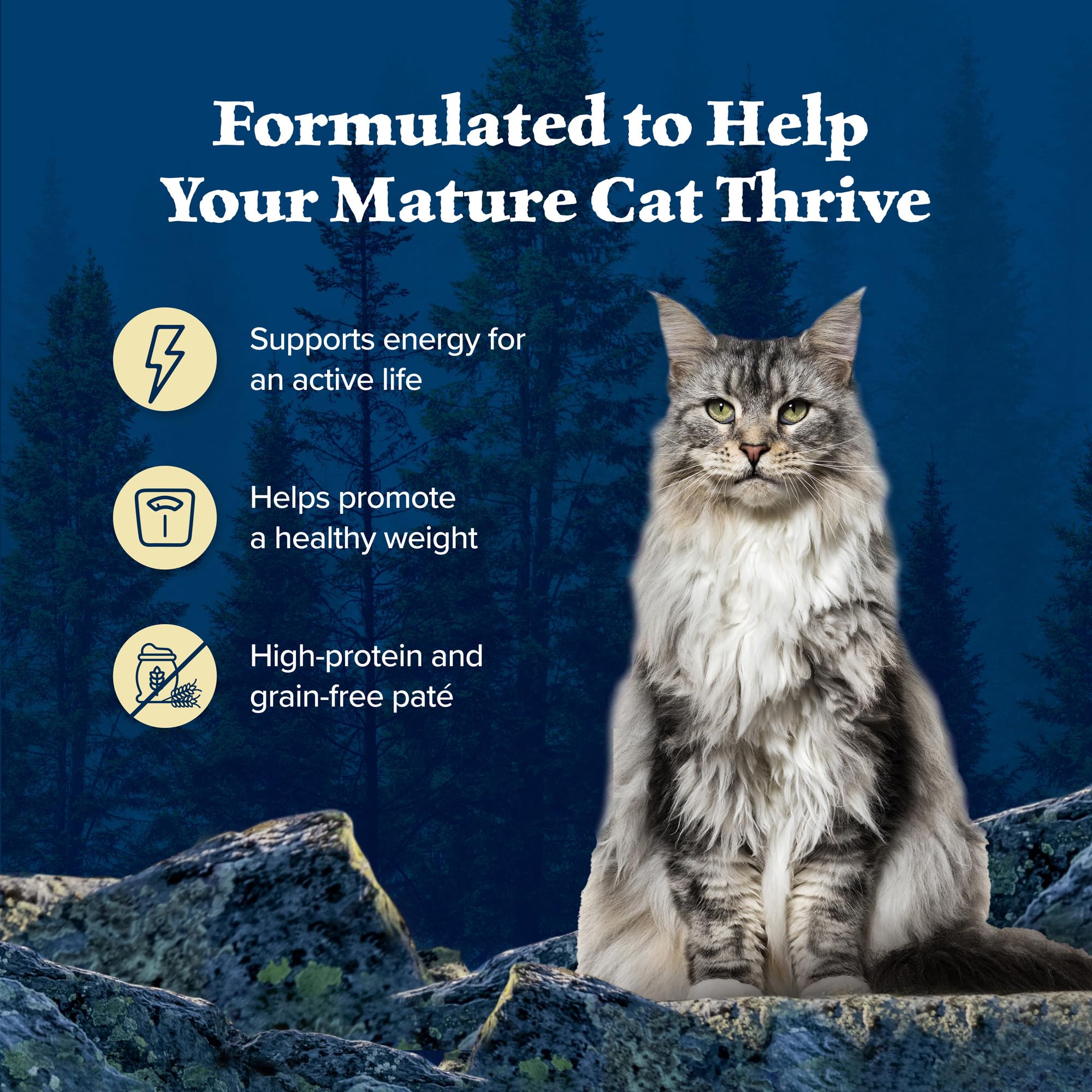 Blue Buffalo Wilderness High Protein Grain Free, Natural Mature Pate Wet Cat Food, Chicken 3-oz cans (Pack of 24)
