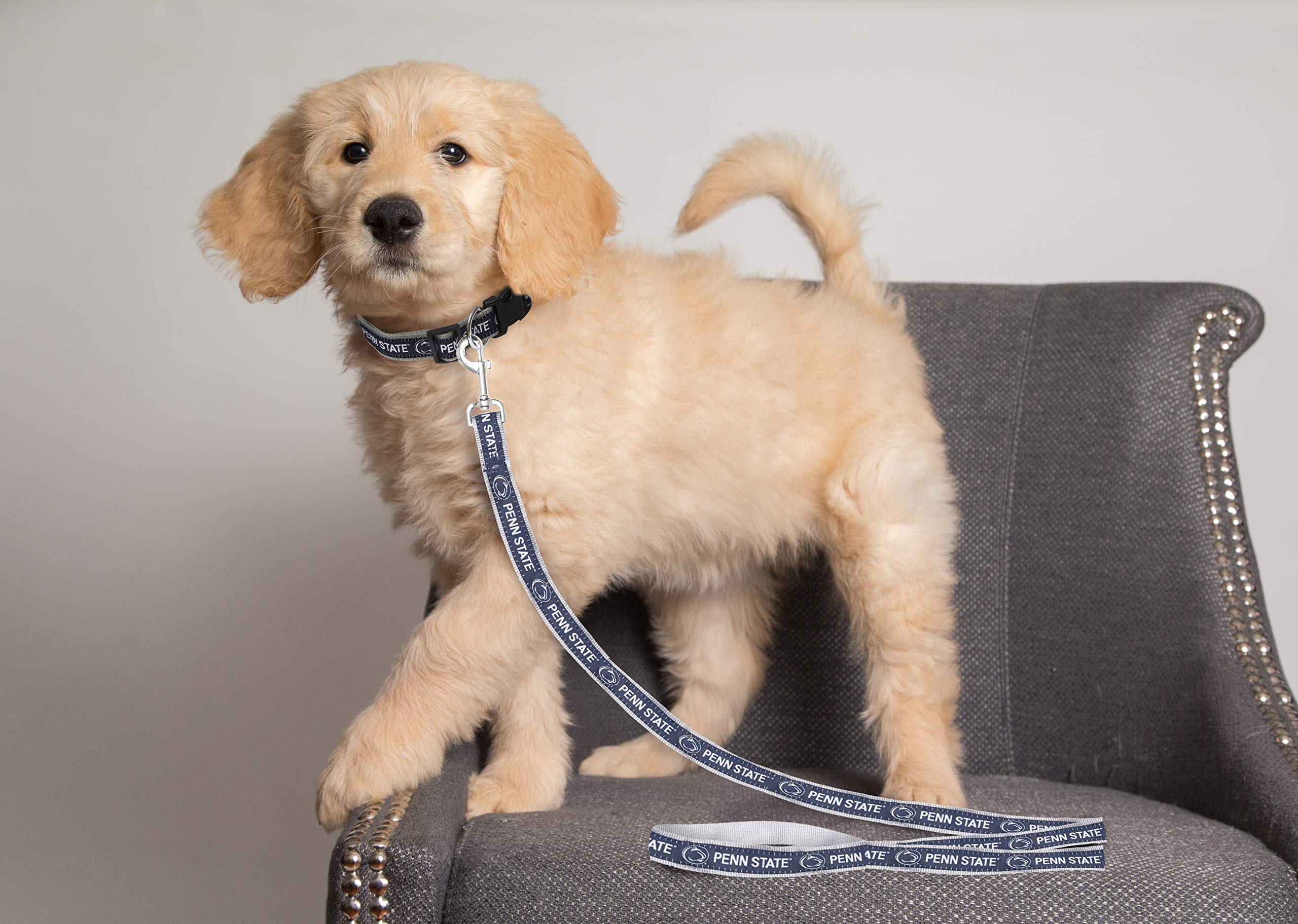 Ncaa Pet Leash, Large, Penn State Nittany Lions, Dog Leash, Shiny & Colorful Leash For Dogs & Cats Licensed By The Ncaa