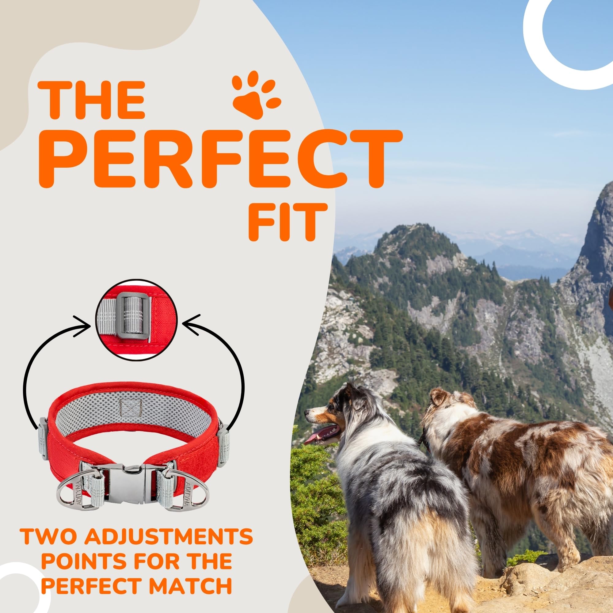 Durable 2-Inch Adjustable Dog Collar For Medium Dogs - Reflective, Heavy-Duty Metal Buckle, Comfortable Mesh Lining, Includes Pa