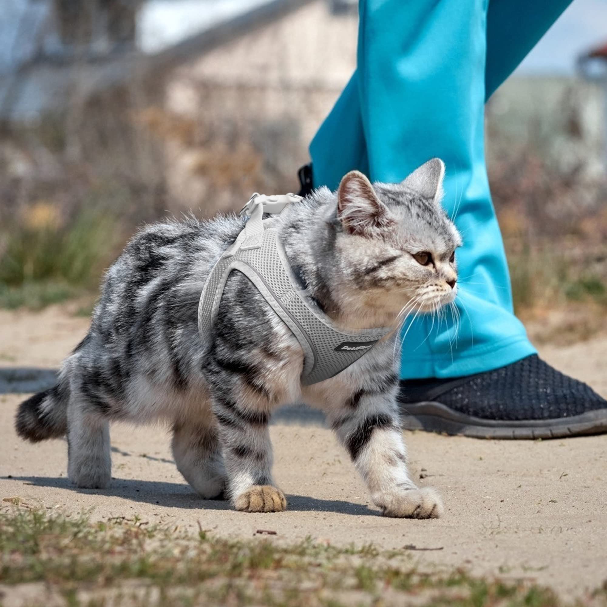Petifine Extra Small Step In Dog Harness And Leash Set, Cat Harness And Leash Escape Proof, All Weather Mesh Reflective, Step-In Air Vest Harnesses For Puppy(Xxxs, Grey)