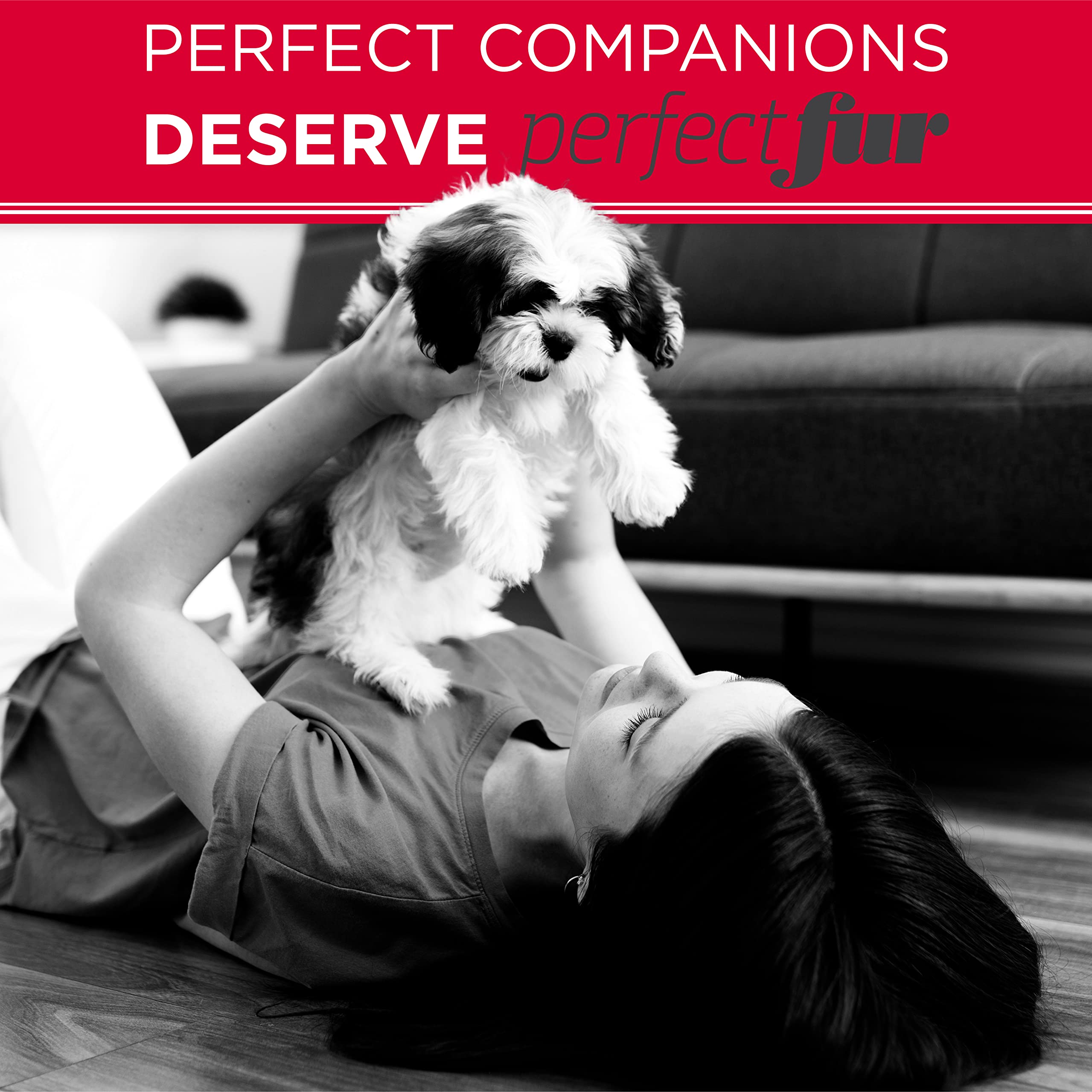 Tropiclean Perfect Fur Detangling Dog Shampoo For Breeds With Long Fur | 16 Oz