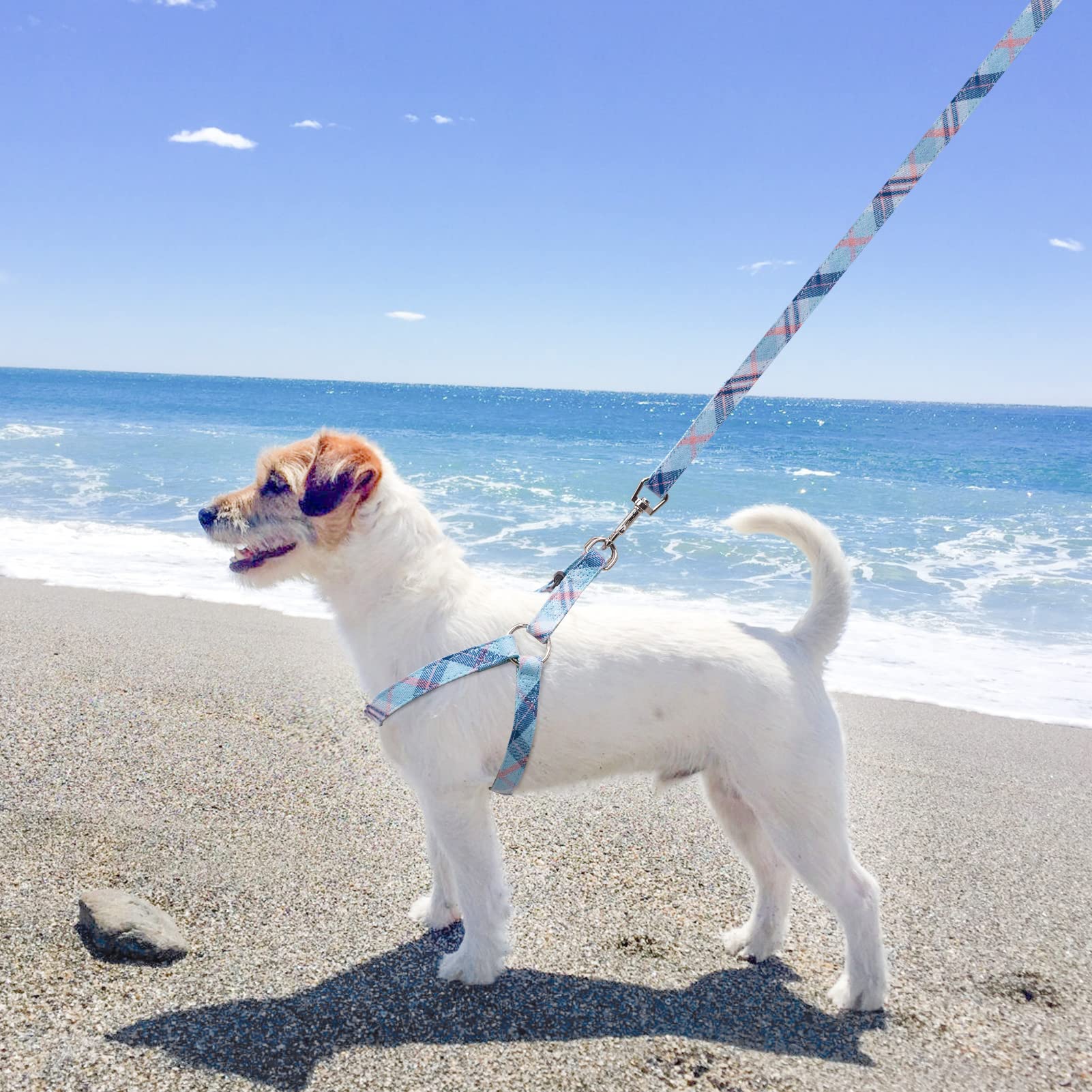 Dog Harness With Leash And Bow Tie Collar Set - Blue Plaid Puppy Harness, Escape Proof Adjustable No Pull Dog Vest For Outdoor Walking, Fit For Small Medium Large Dogs S