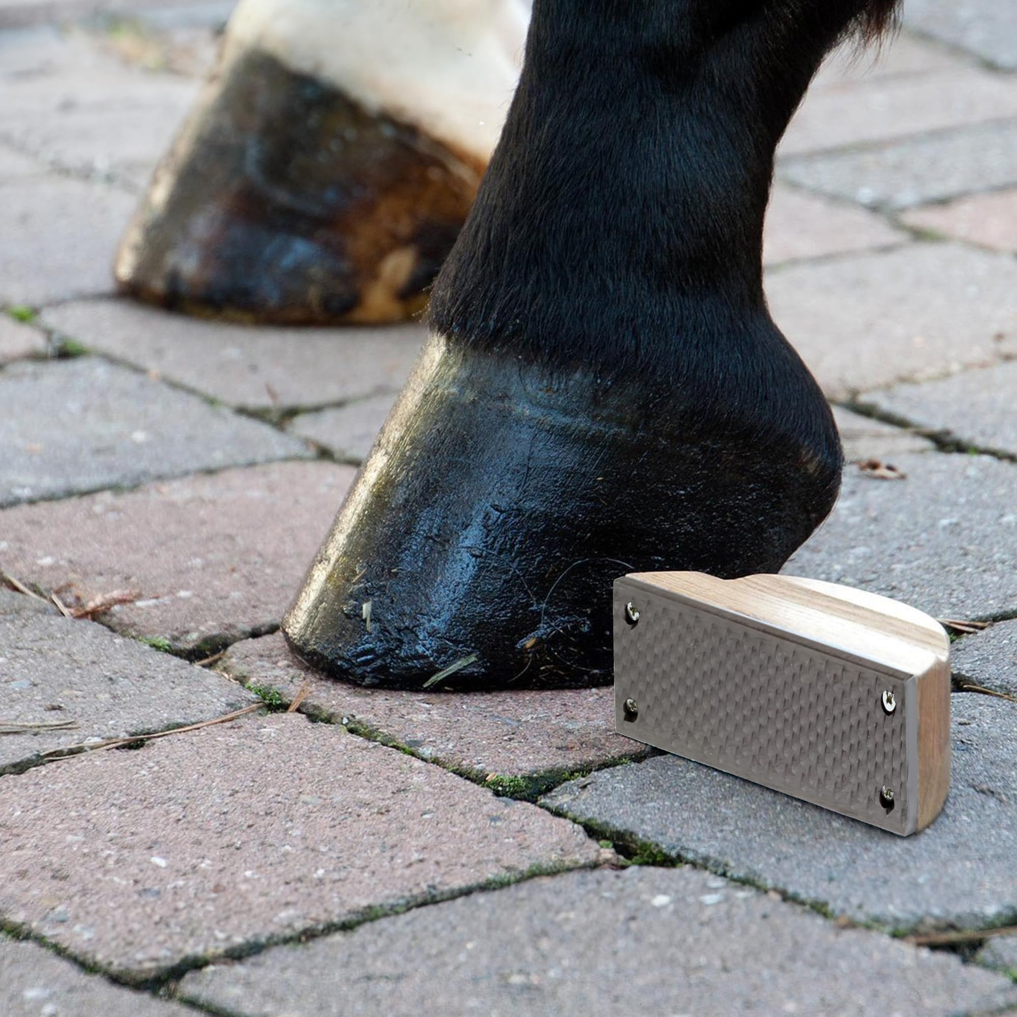 Rural365 Farrier Rasp With Wooden Handle, Mini Hoof Rasp File – Farrier Supplies For Miniature Horse, Pigs, Goats