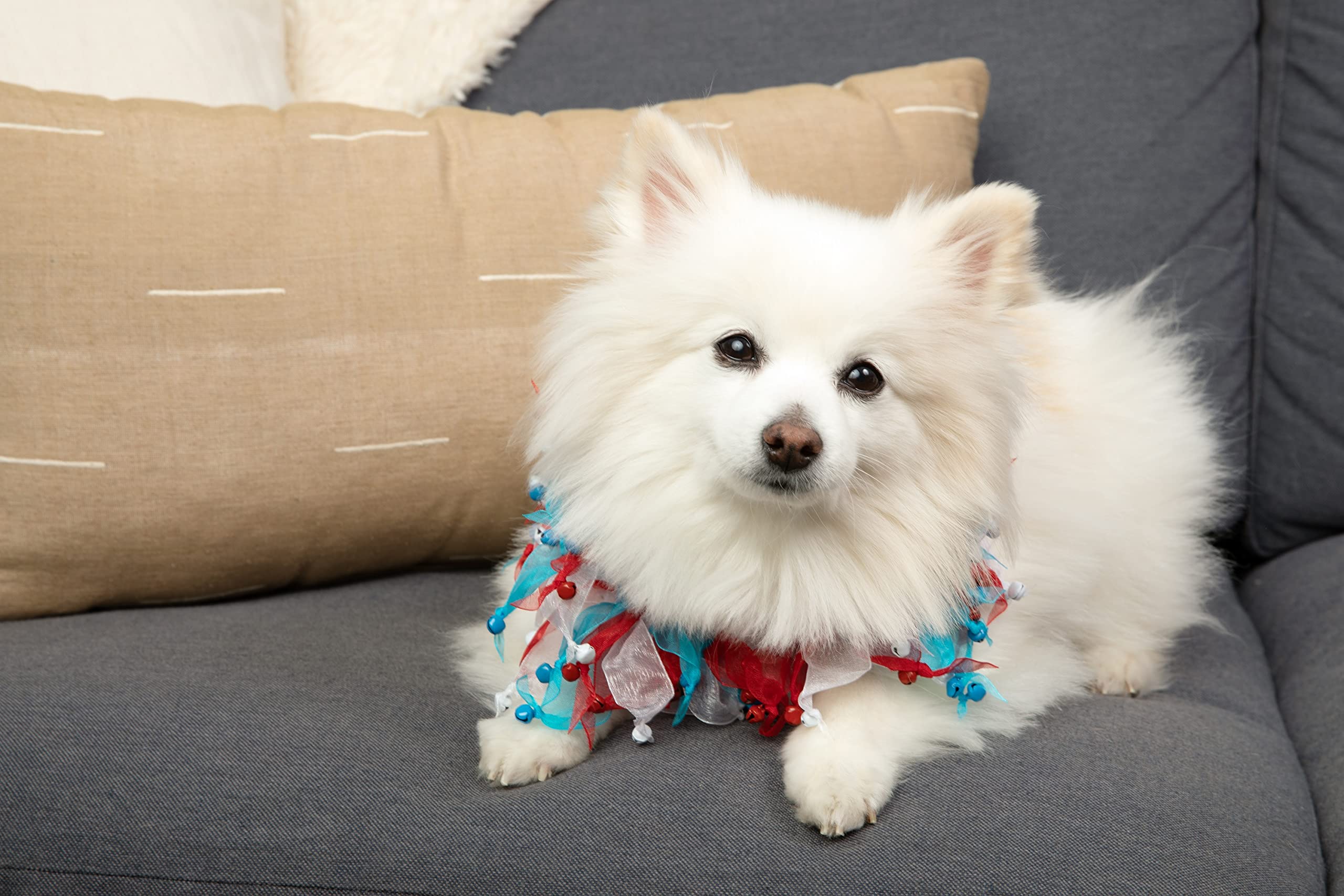 Midlee 4Th Of July Decorative Bell Collar (Medium)
