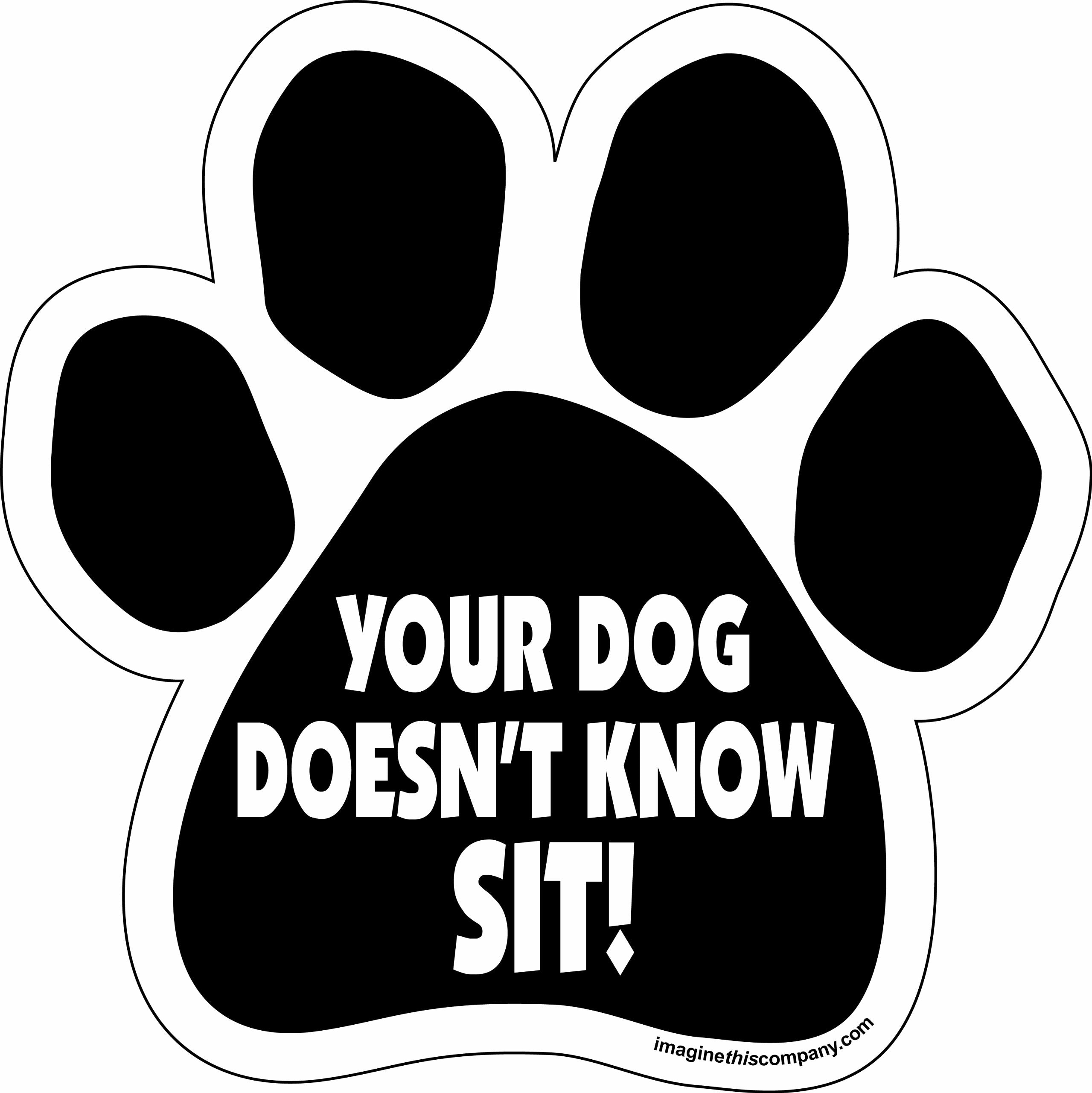 Car Magnet- Paw- Your Dog Doesn’T Know Sit- 5.5' X 5.5'