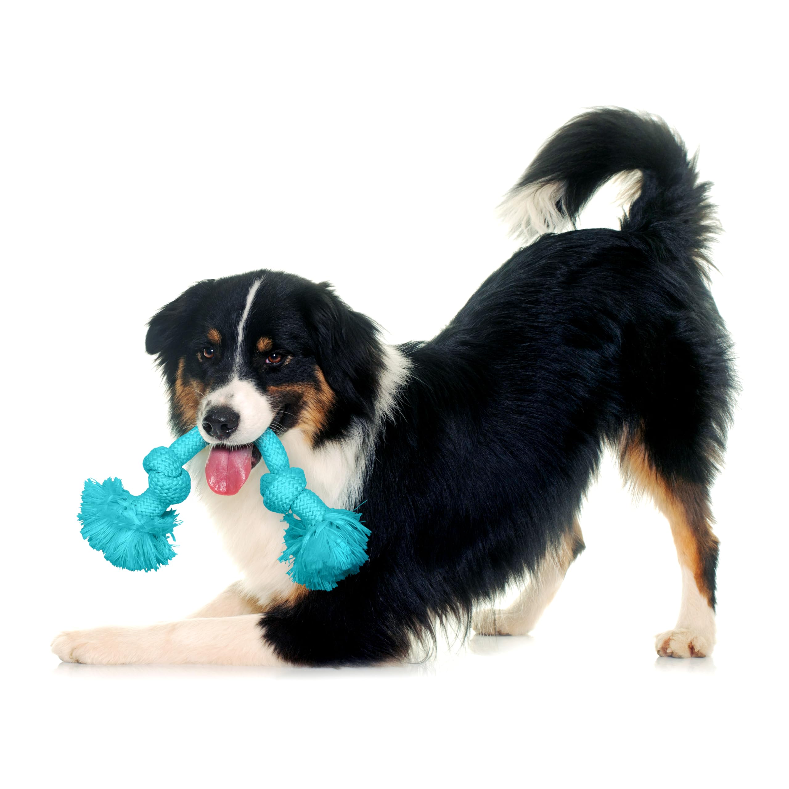 Playology Dog Toys | Dri-Tech Rope Toy Tug of War Rope for Aggressive Chewers | Medium Peanut Butter Scented Toy - Easy to Clean
