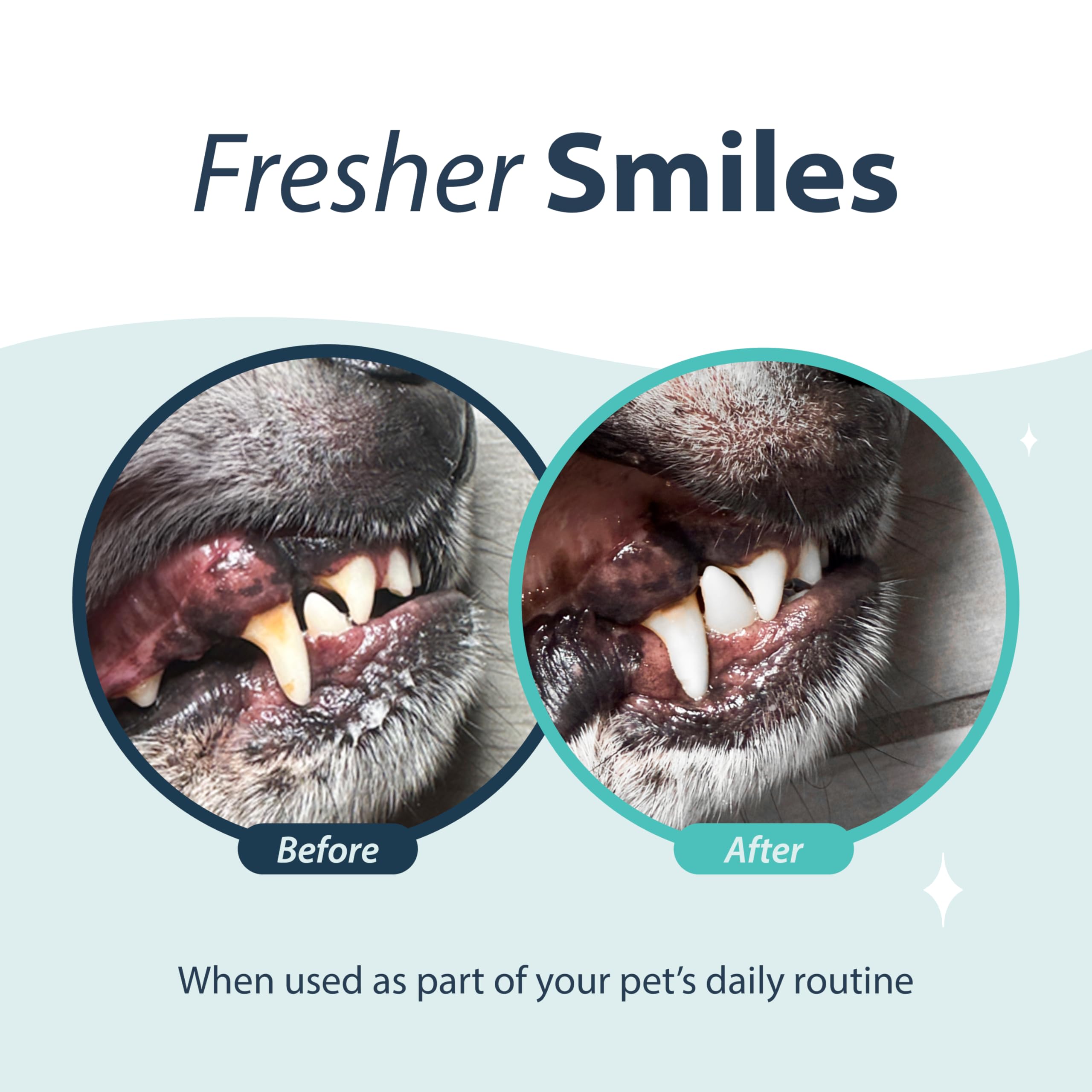 Dental Fresh Water Additive for Dogs, Original Formula, 8oz - Cat & Dog Breath Freshener and Teeth Cleaning for Dental Care for